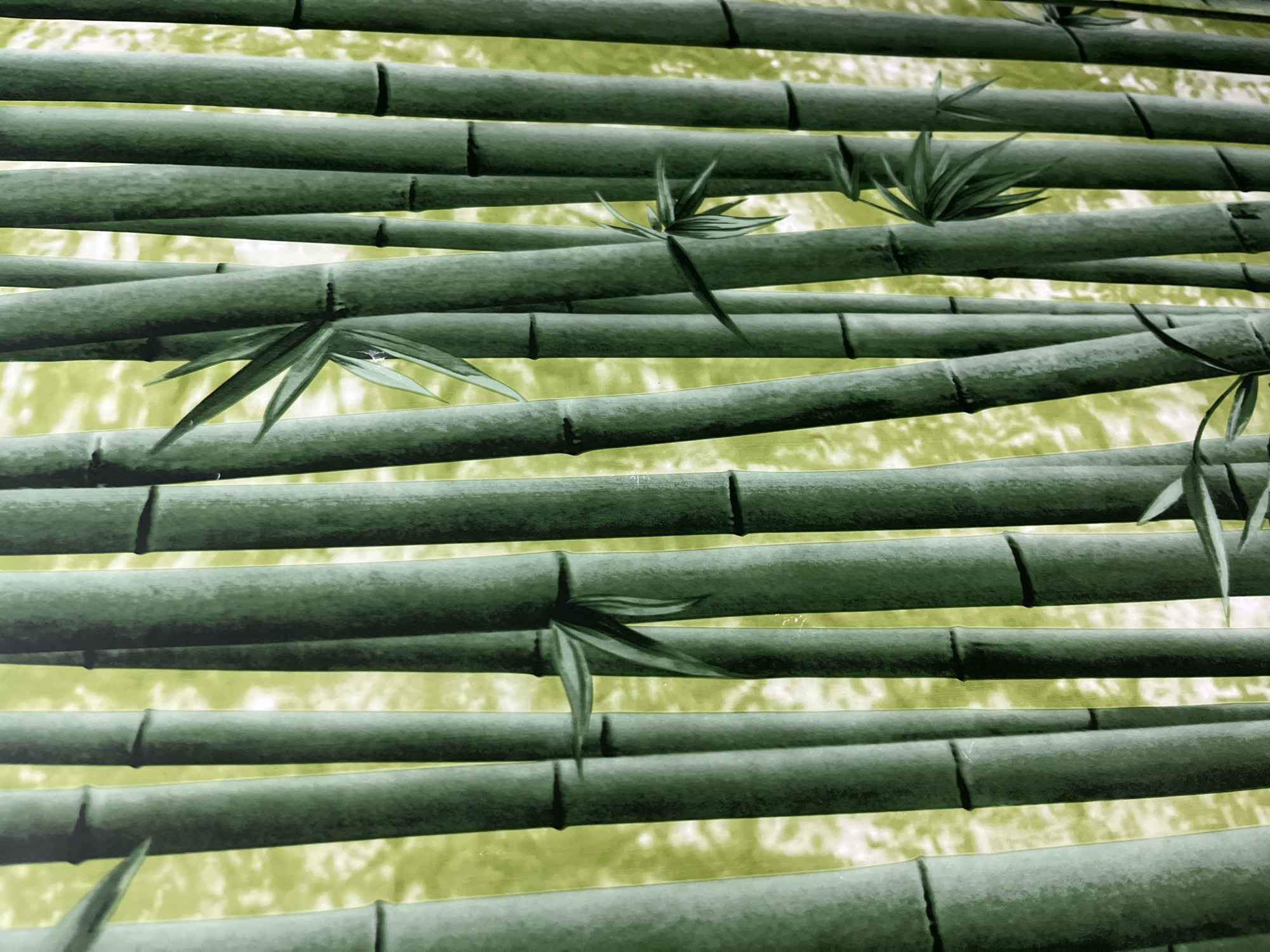 Bamboo wall pattern photographed in Russian town
