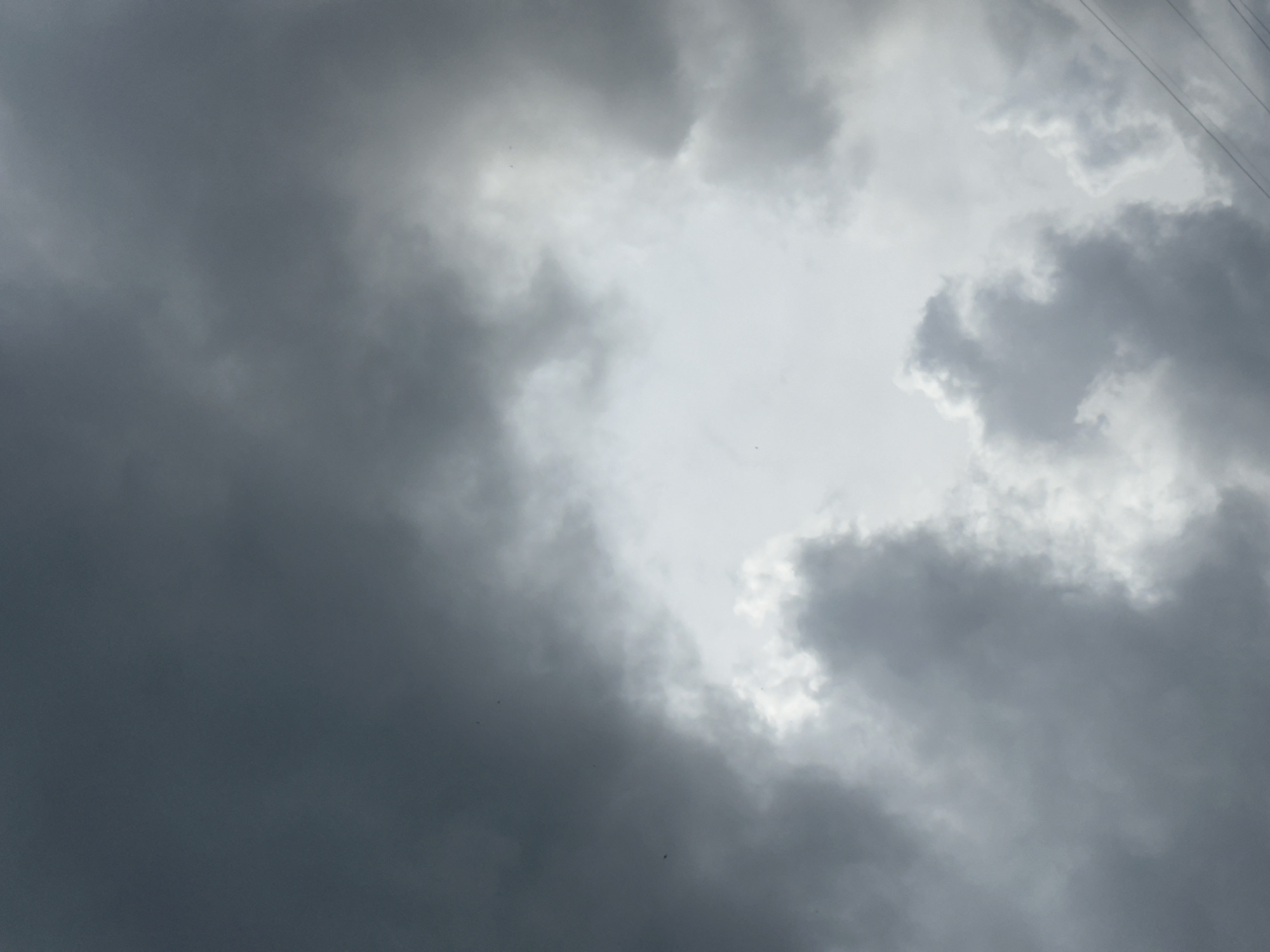Stormy sky, a globe lamp, and pigeons on patchy ground.