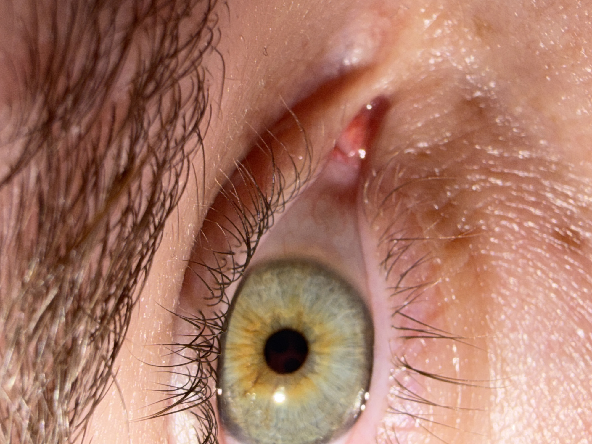 Close-up eye photograph captured in Chaikovsky, Russia