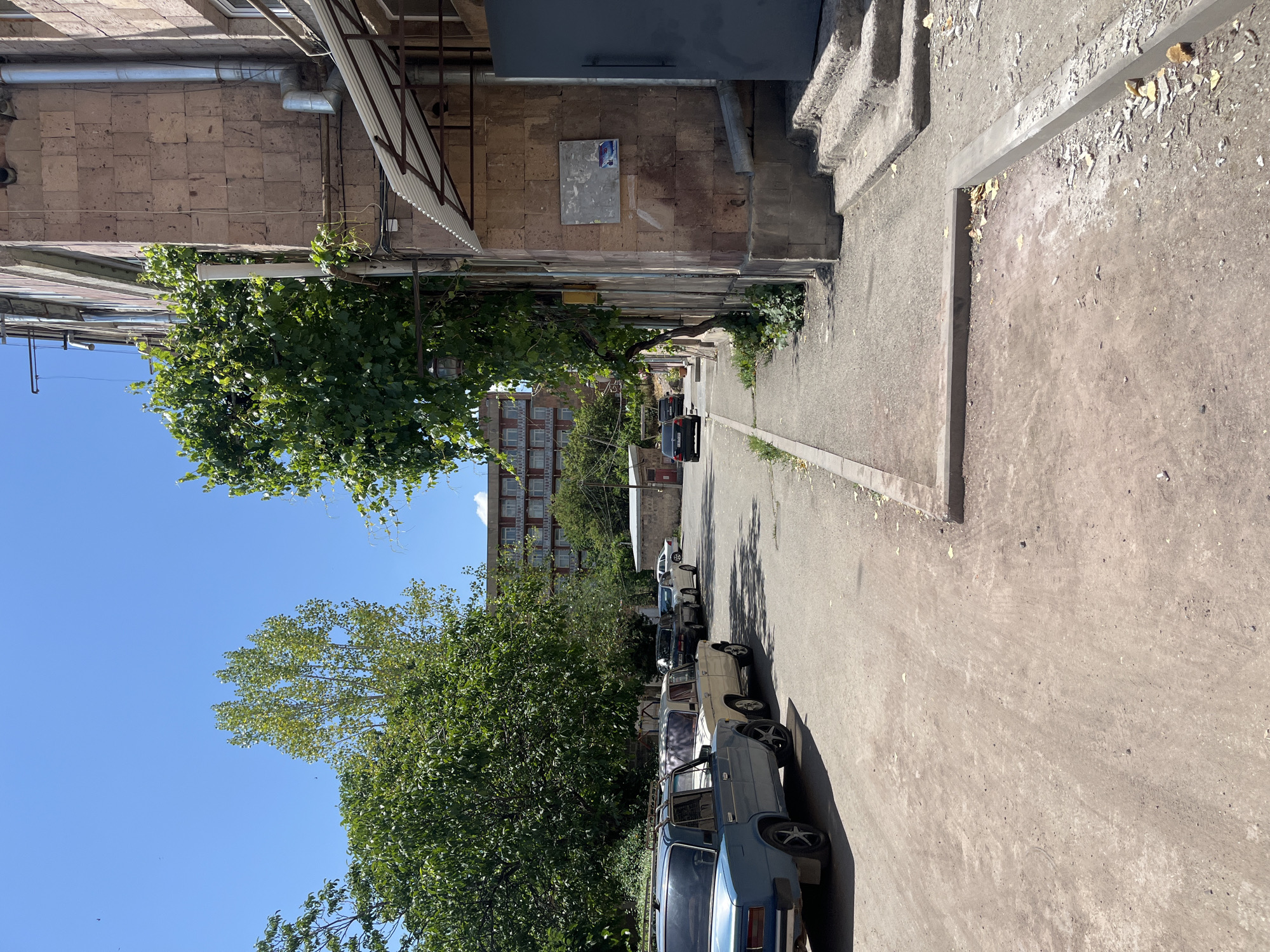 Quiet residential streets with parked cars and mountain backdrop
