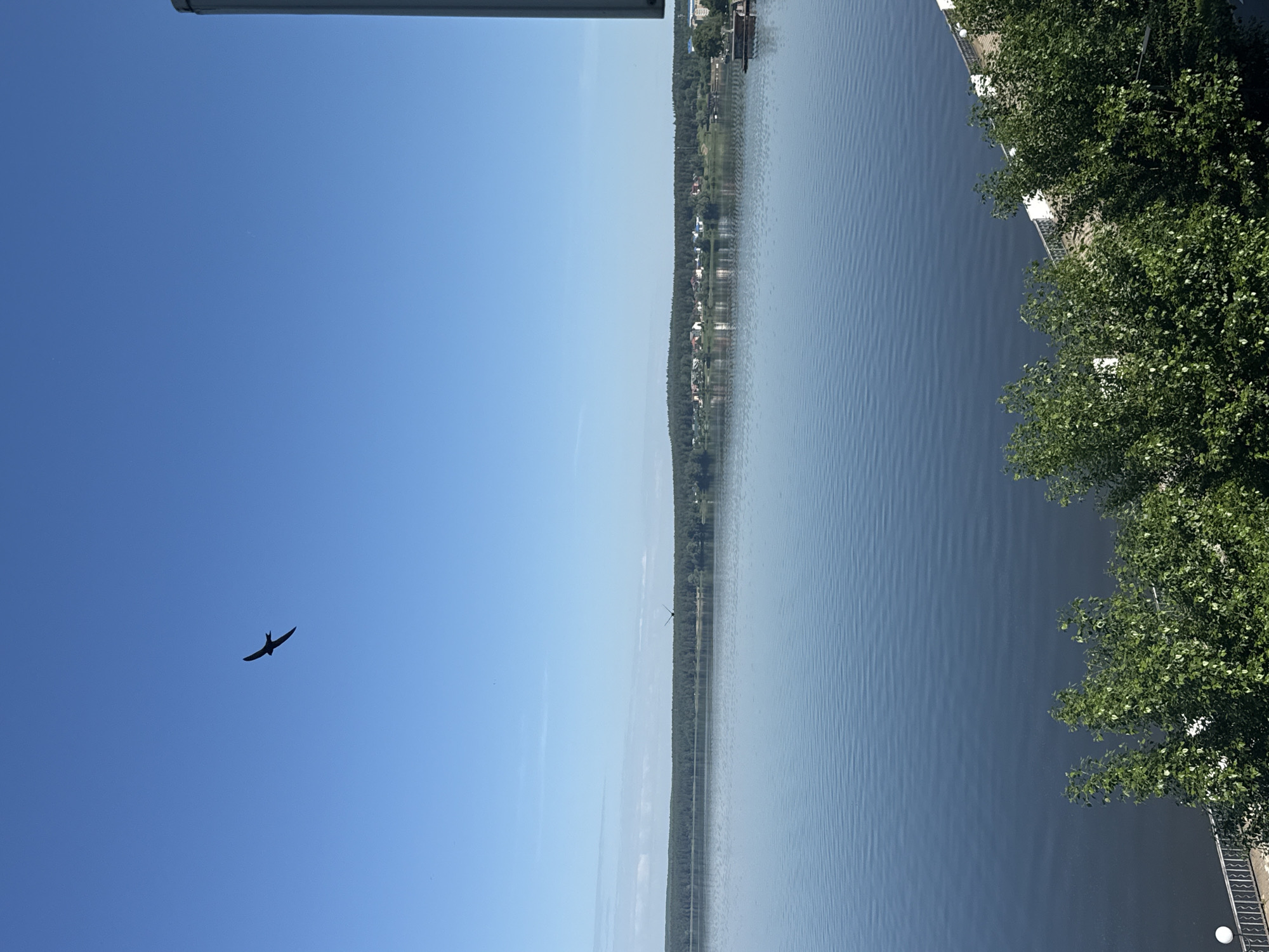 Morning tranquility captured at Votkinskoye Reservoir, birds soaring overhead
