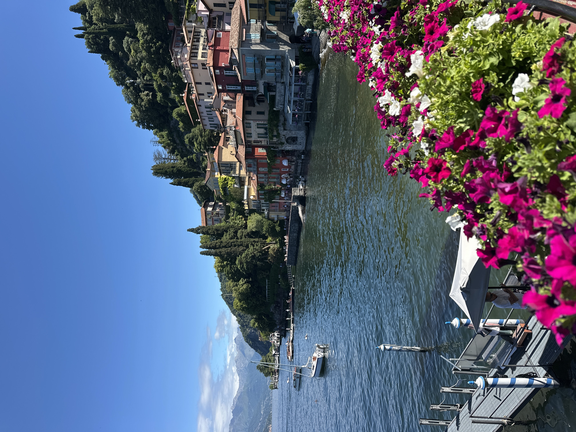 Tourist captures scenic Lake Como views with blooming petunias
