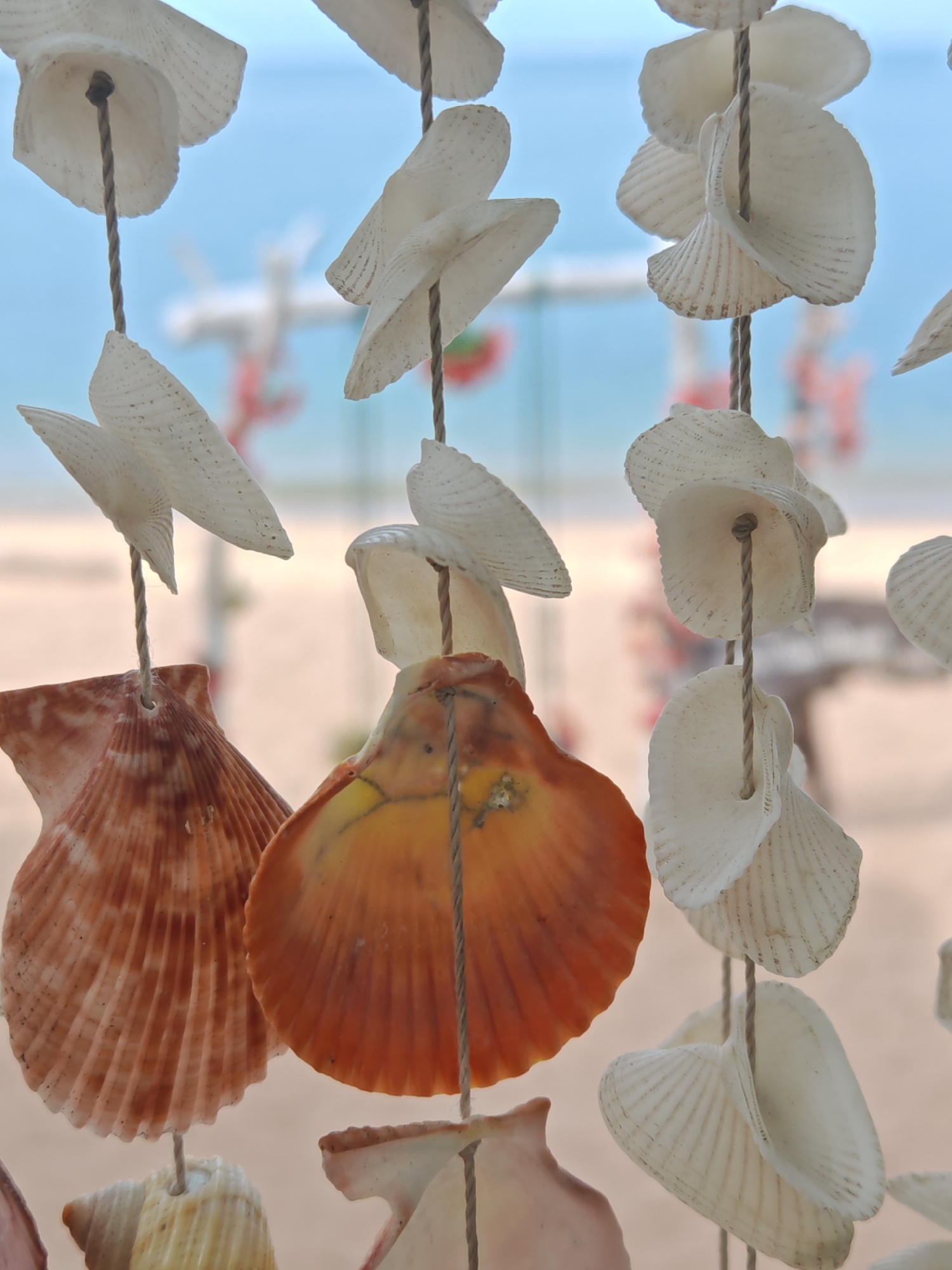 Shells, rocks, and palms along a quiet Koh Samui shore