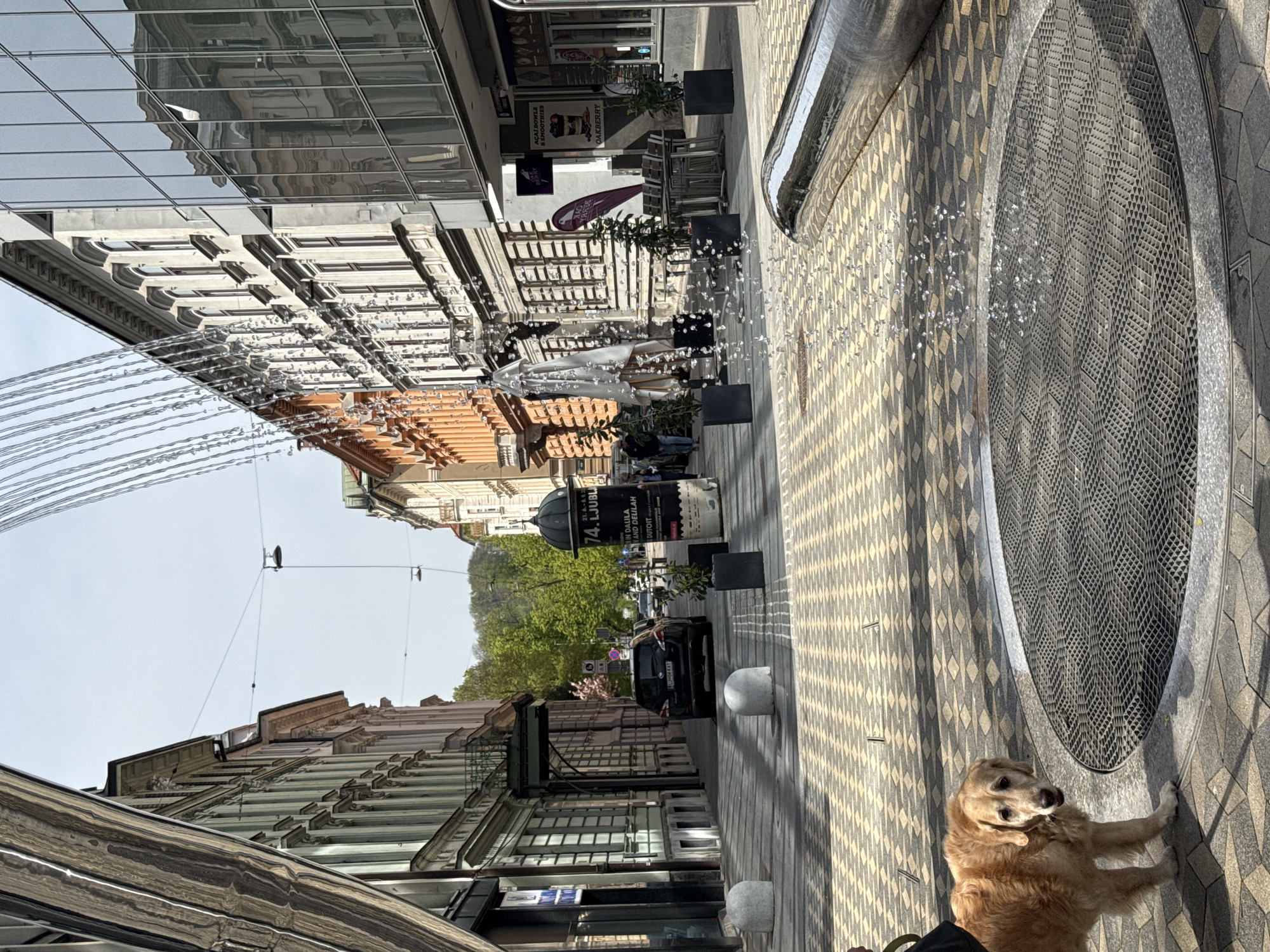Morning snapshots capture everyday Ljubljana street life and architecture