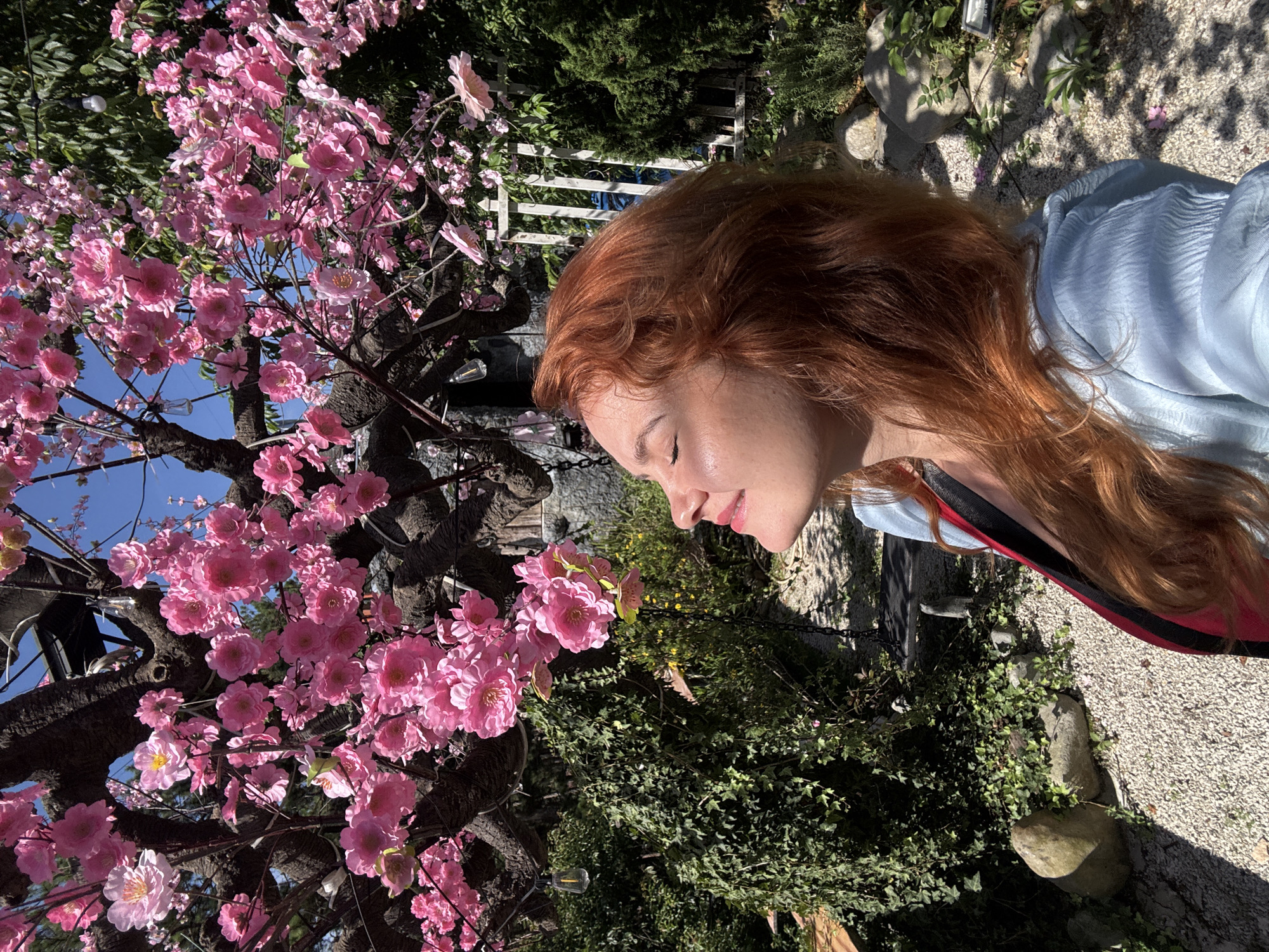 Cable car journey over Da Lat's scenic gardens and cafes