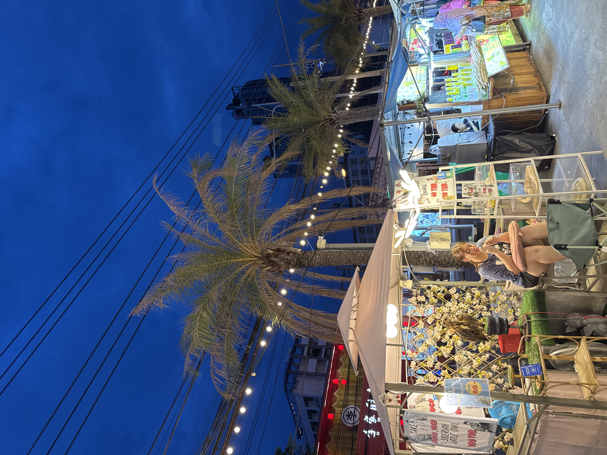 Pattaya night market with durian stalls and a 747 landmark