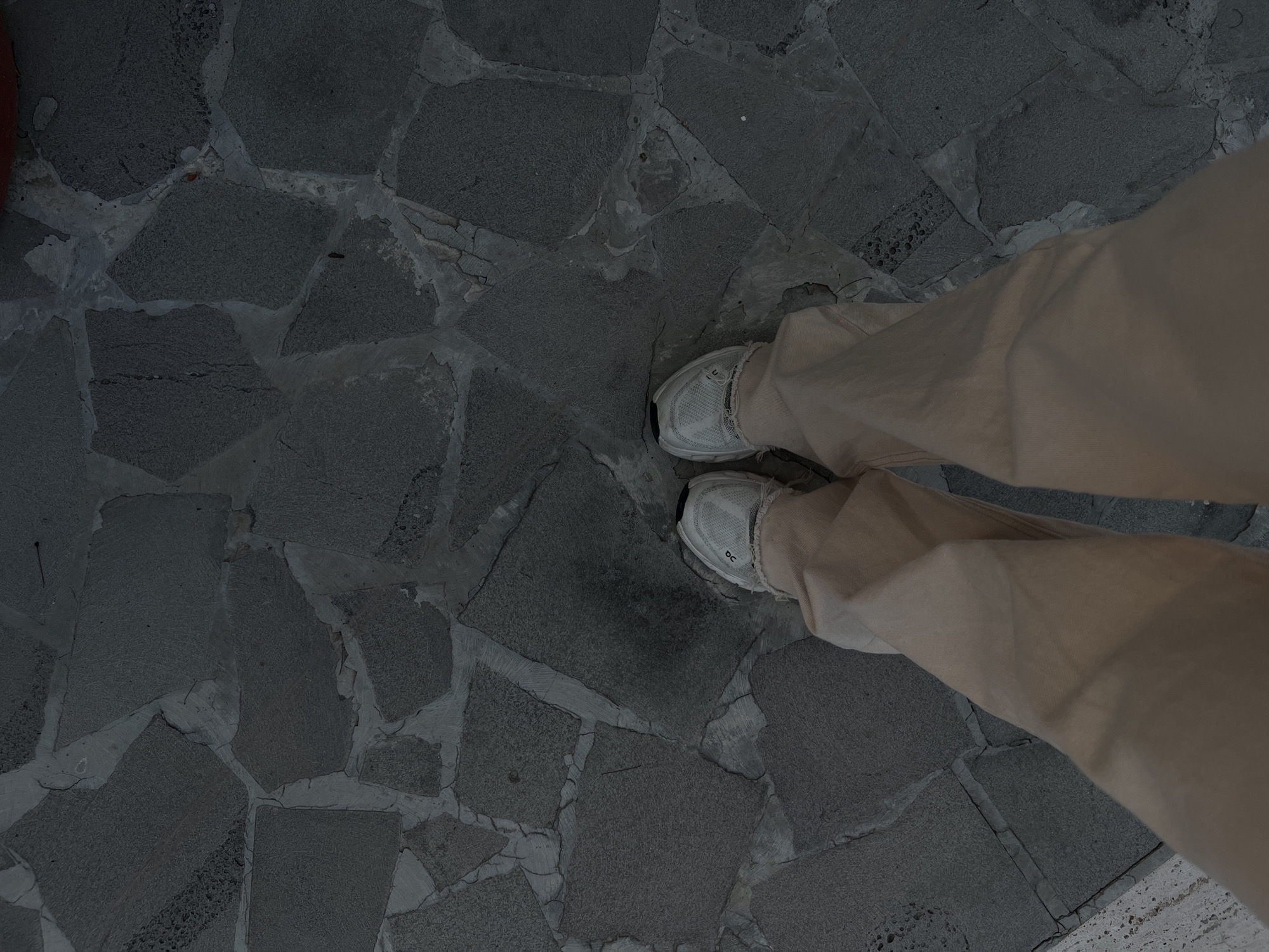 Woman photographs garden scenes in residential Yerevan during sunset