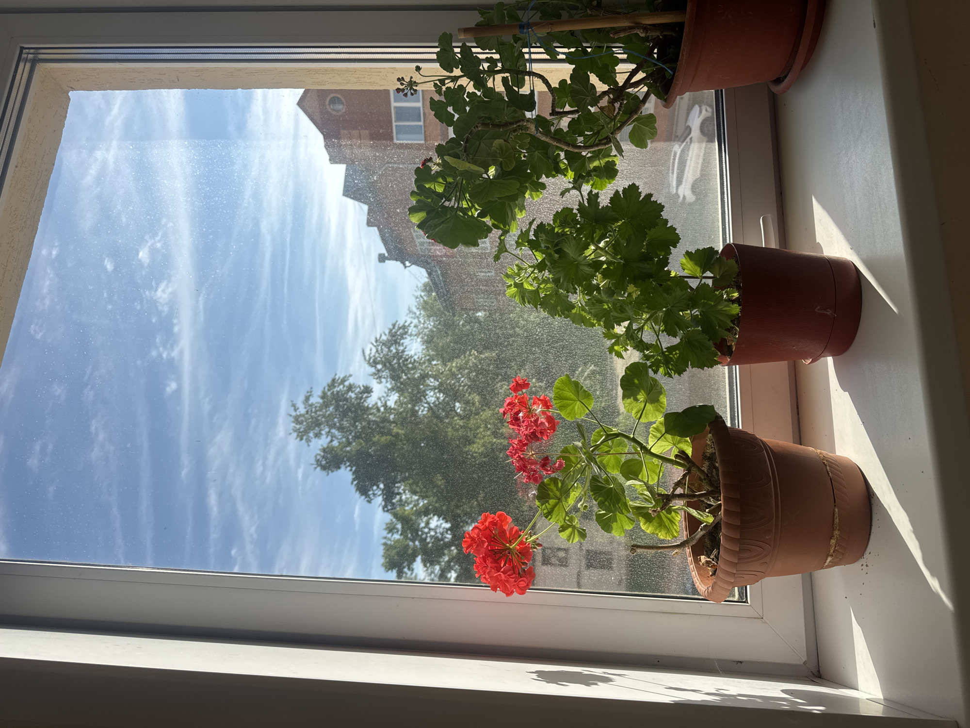 Quiet morning moments captured in Chaikovsky, Russia