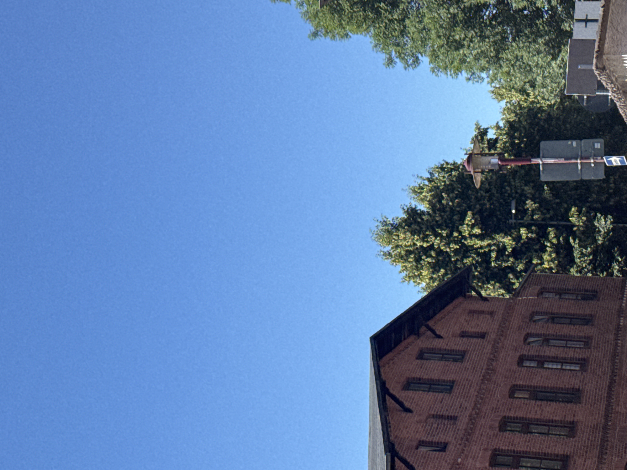 Afternoon at home: garden, everyday objects, and blue skies