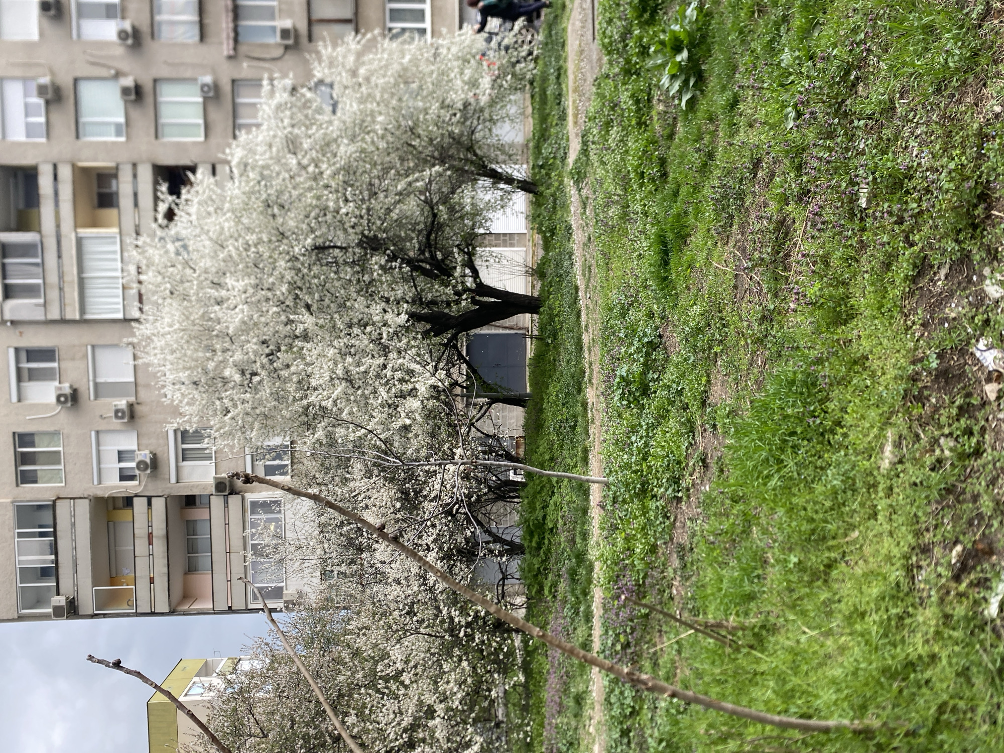 Everyday moments captured across Stara Zagora, Bulgaria