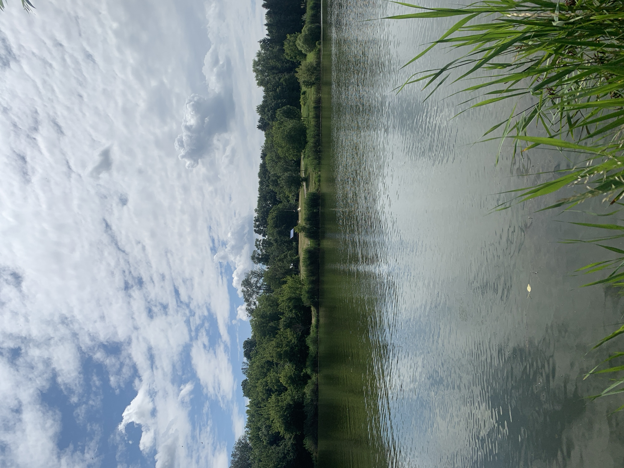 Lakeside fishing session in Dondușeni, Moldova, small catch landed