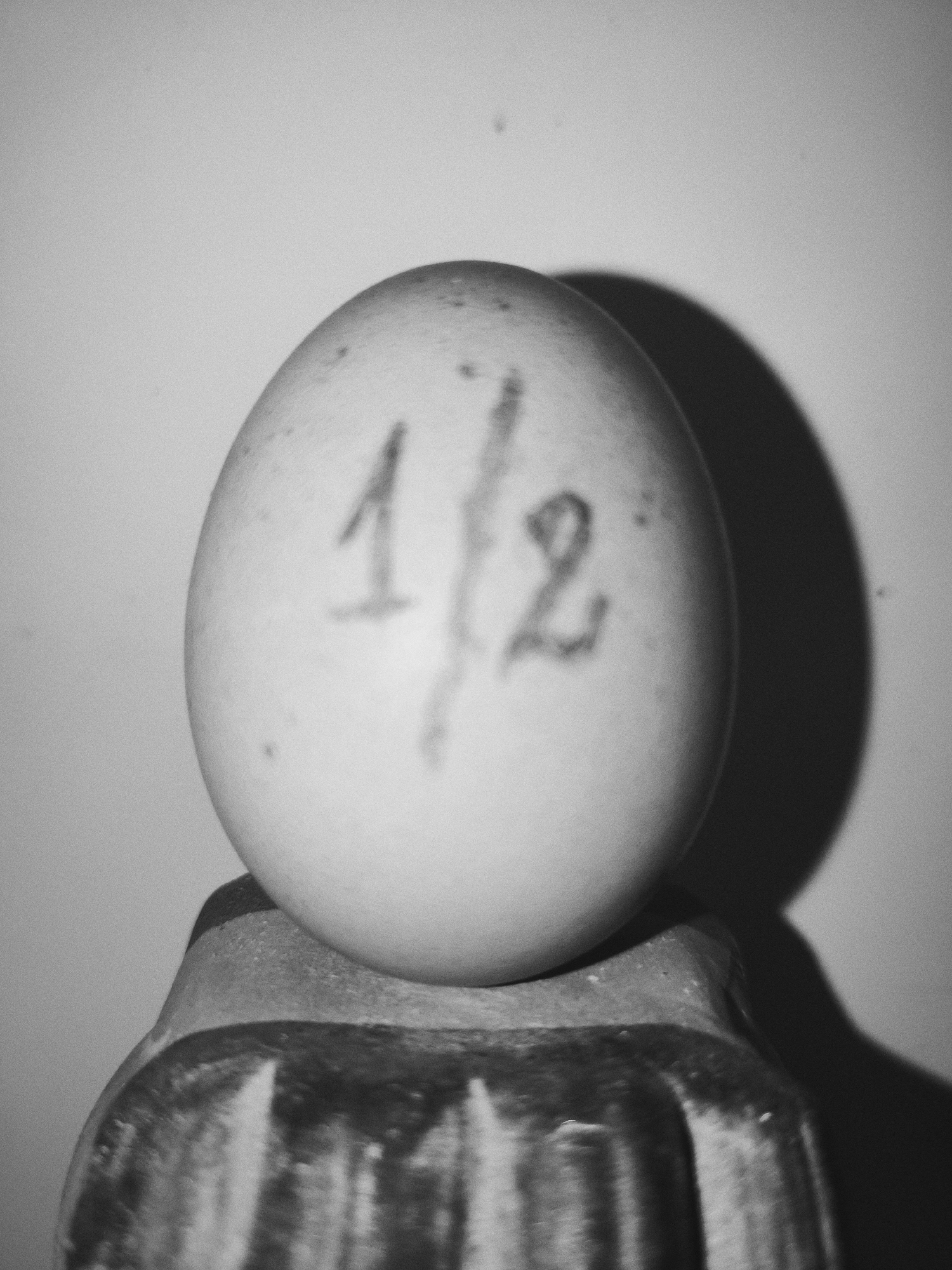 Still-life photograph of marked egg captured in Tinaquillo