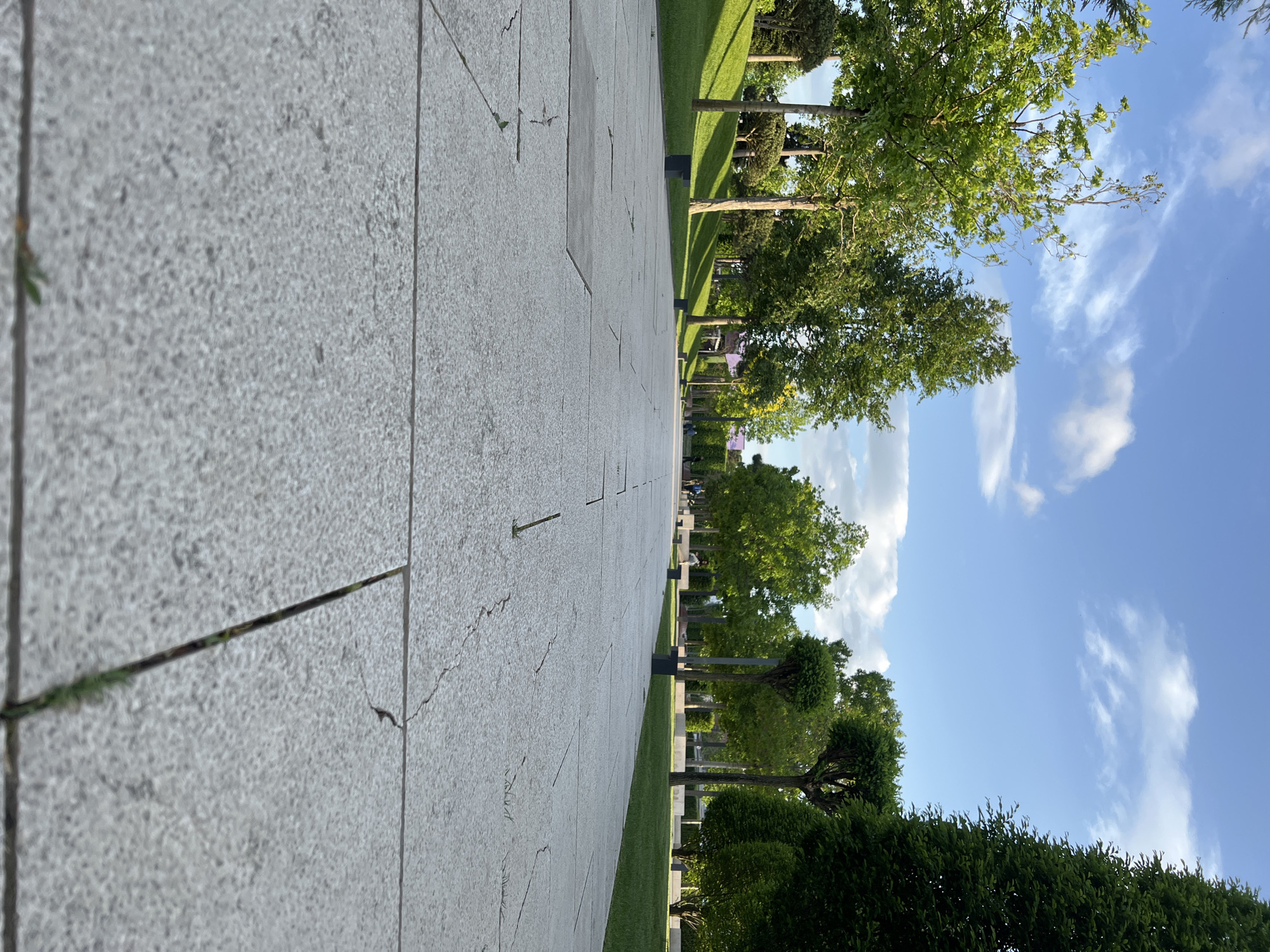 Afternoon stroll documented near Krasnodar Stadium parklands
