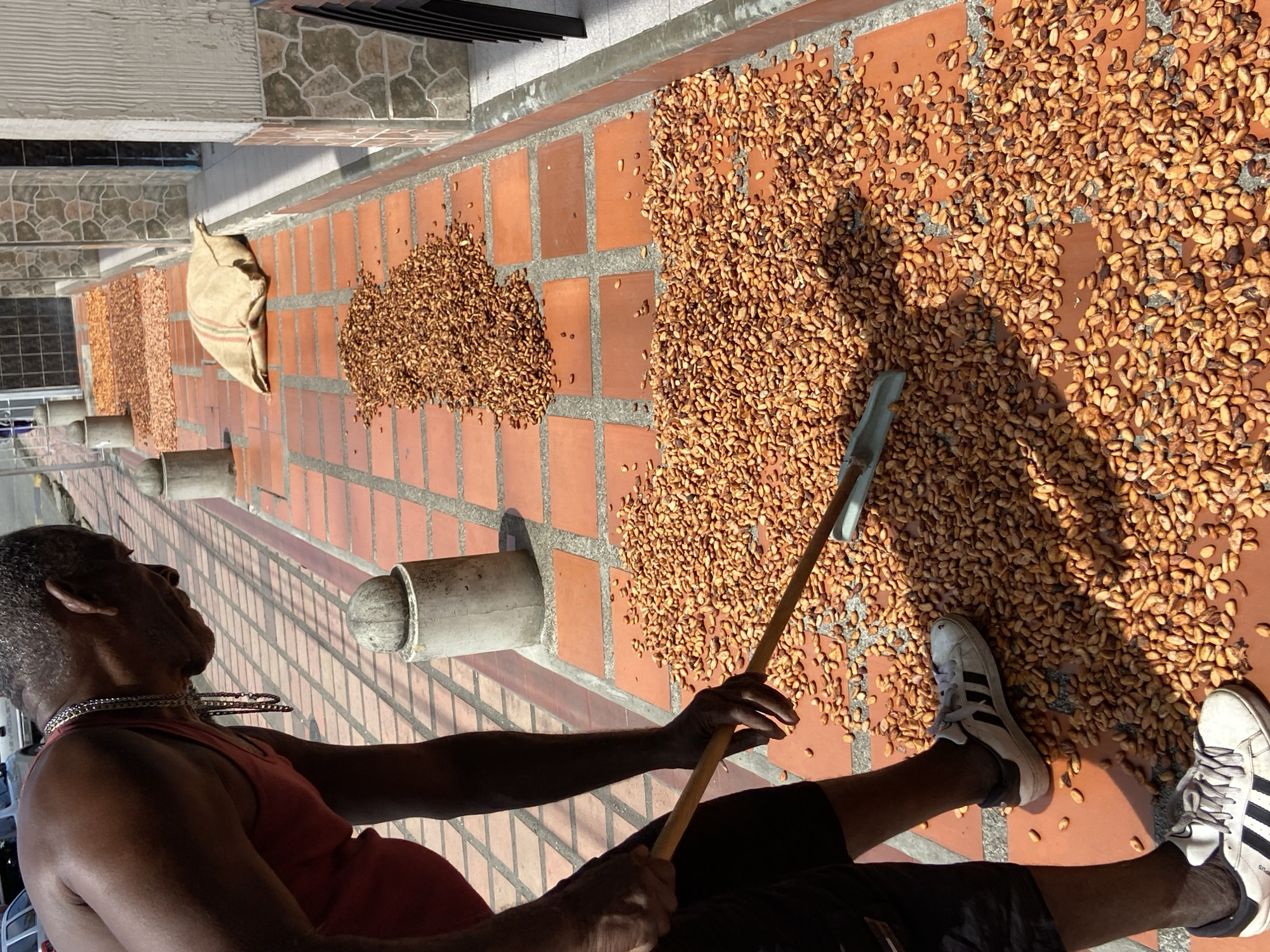 Man processes cacao beans on rooftop in Venezuelan town