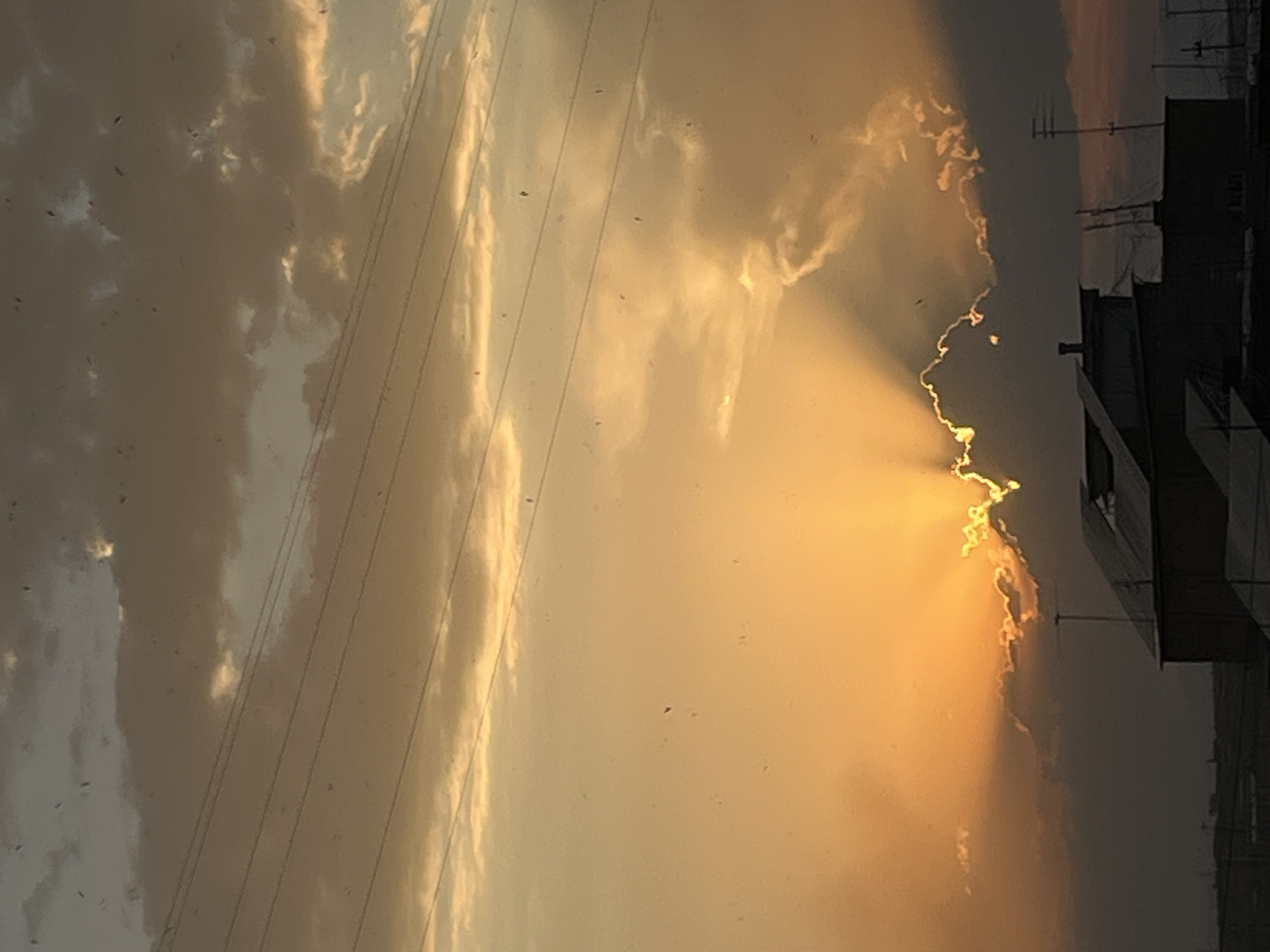 Dramatic sunset and birds over Yerevan's skyline