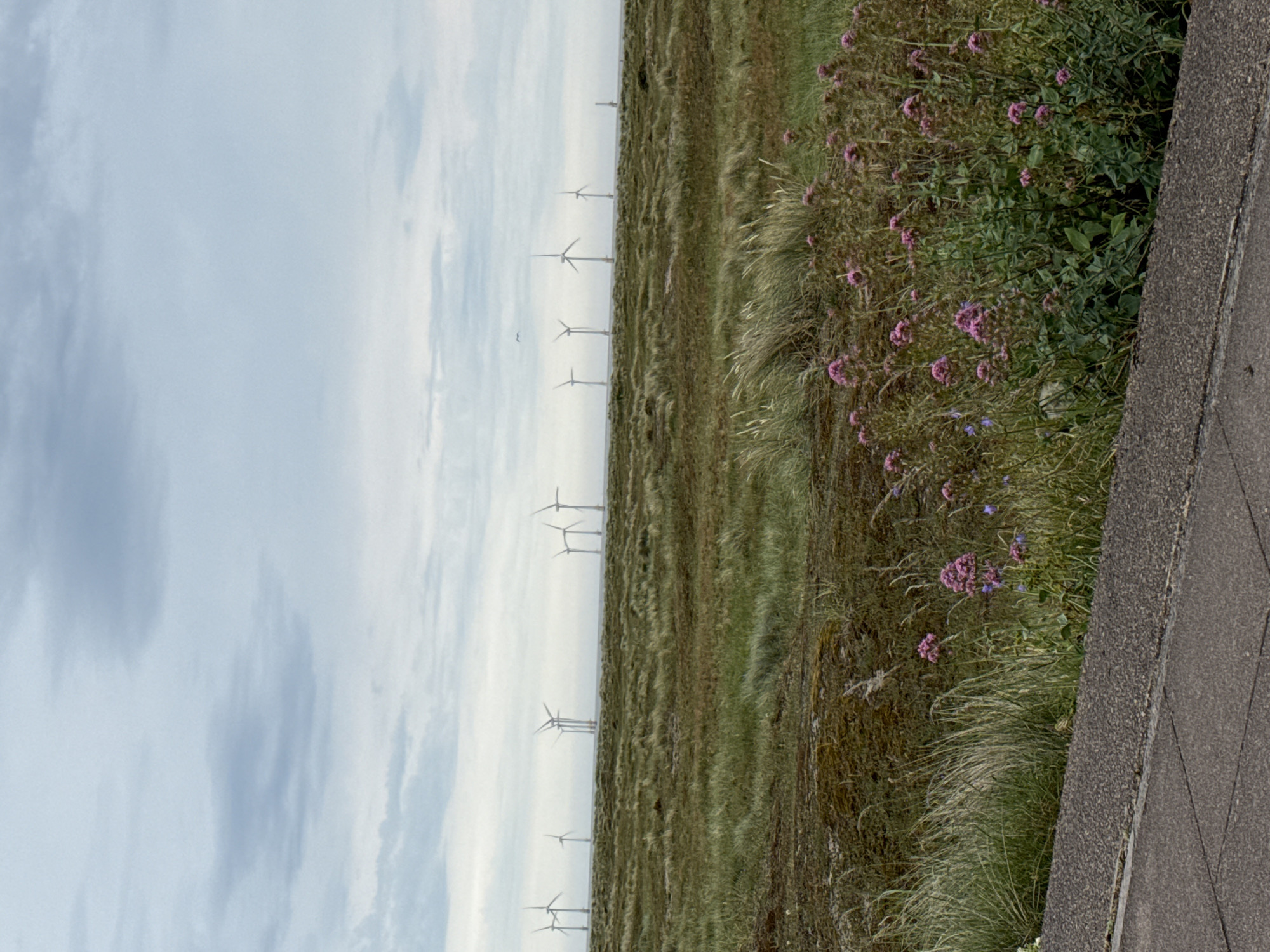 Offshore wind farm and coastal path, Great Yarmouth