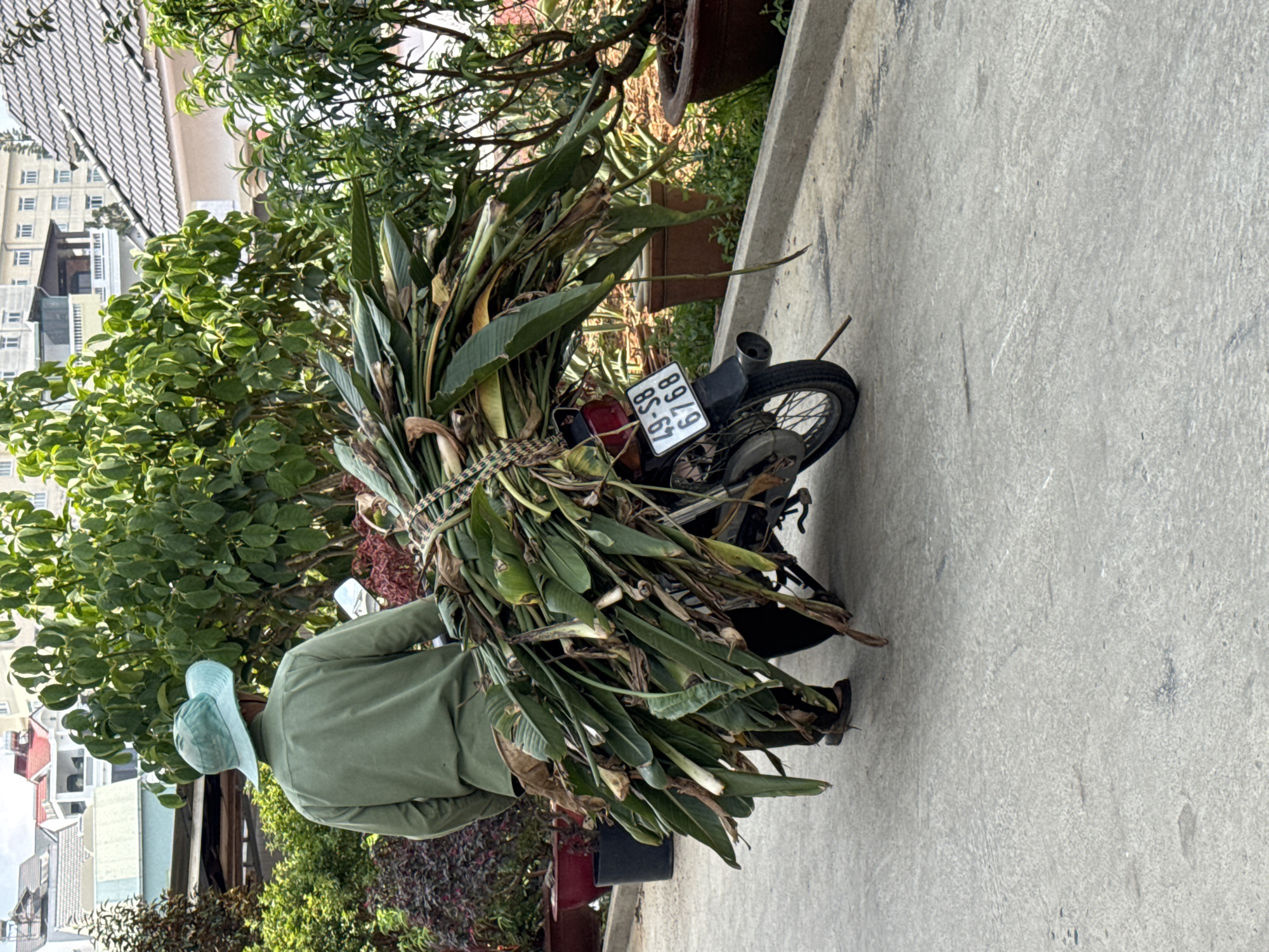 Early morning street life documented in Đà Lạt residential district