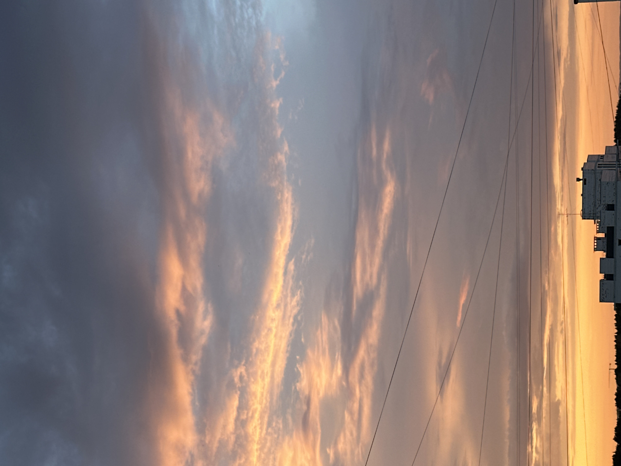 Chaikovsky sunset skies and a grumpy Persian cat