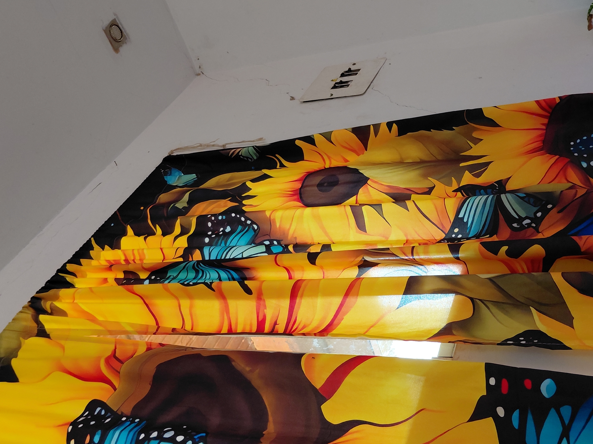 Inside a Santa Ana home: altars, anime, and everyday decor