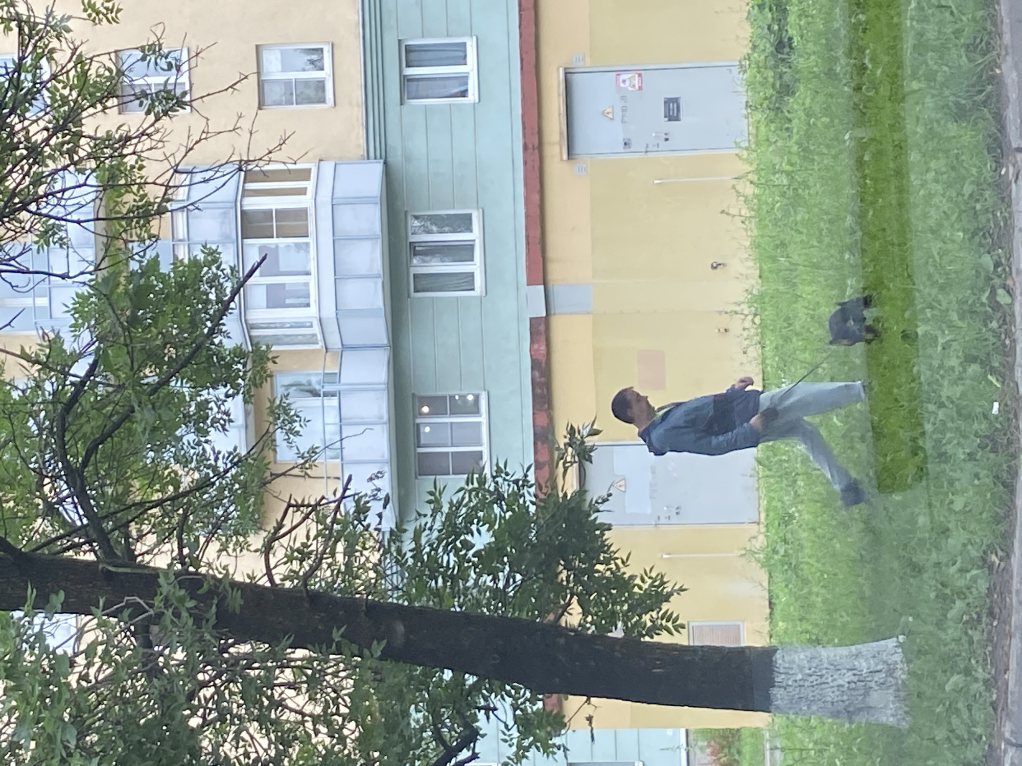 Rainy afternoon around a Saint Petersburg residential block