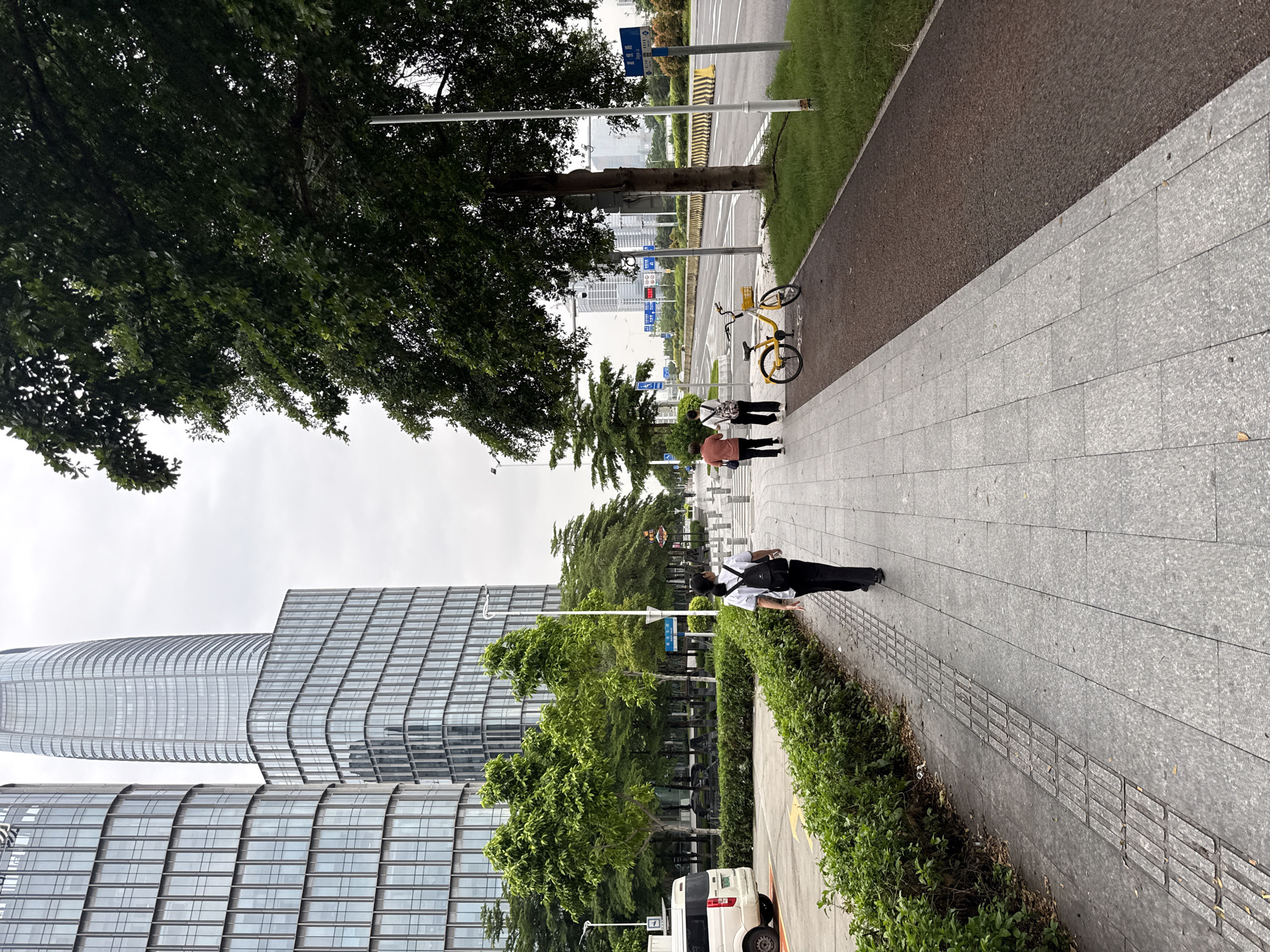 Haizhu District's glass towers and lantern-lined streets on a grey afternoon