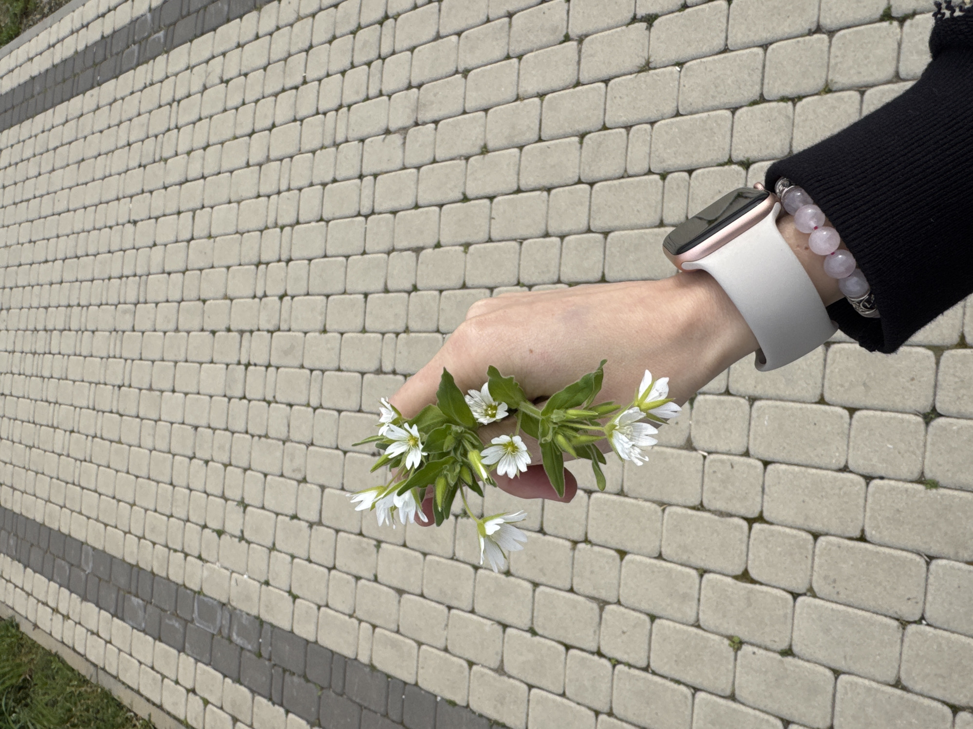 Spring day moments captured in Kurganinsk, Russia
