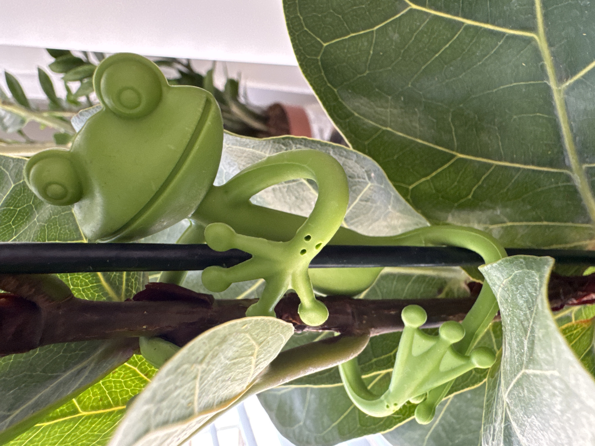 Macro details: a plant frog ornament and a woolly textured surface.