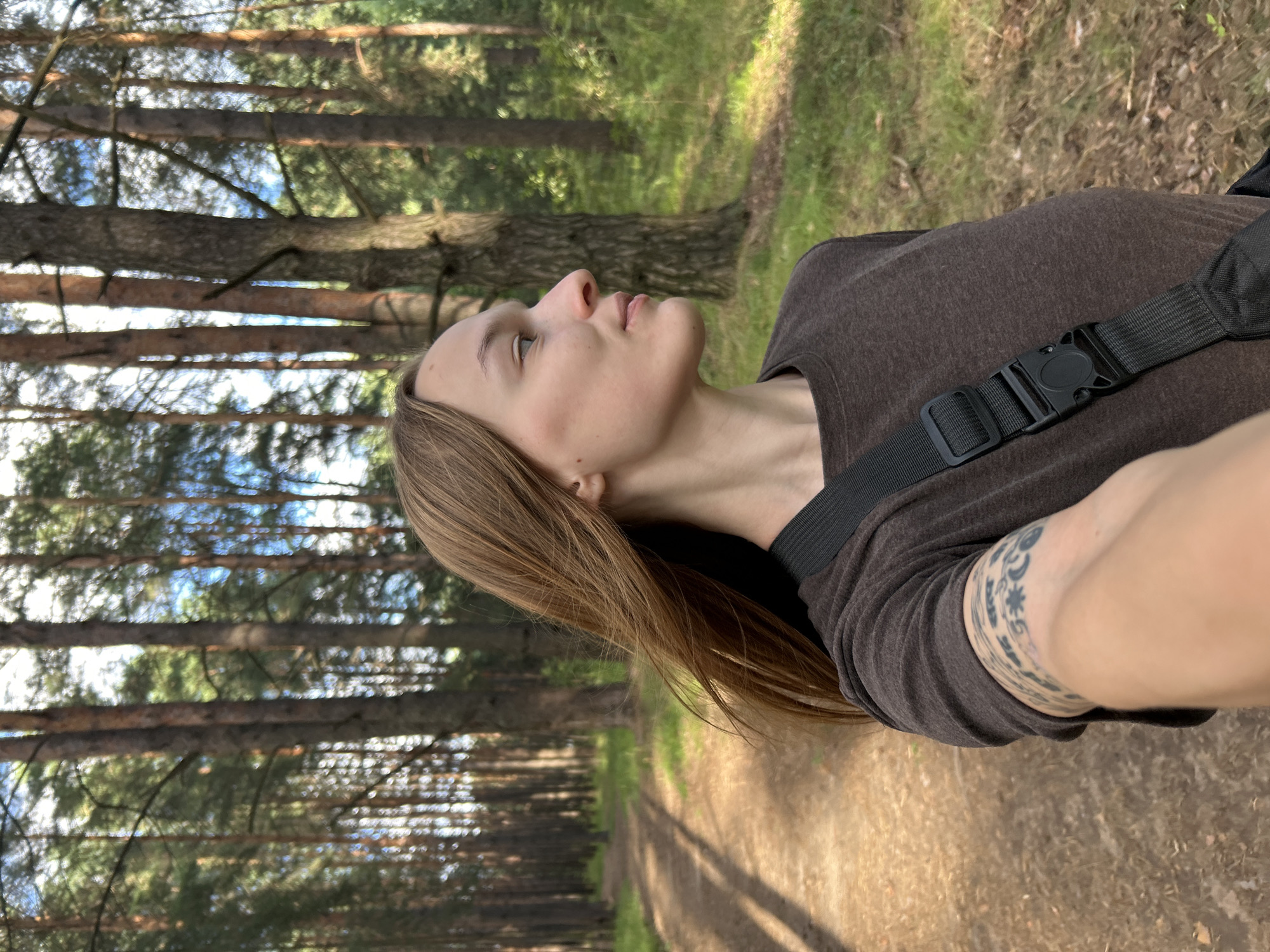 Afternoon stroll through a sunlit pine forest in Chaikovsky