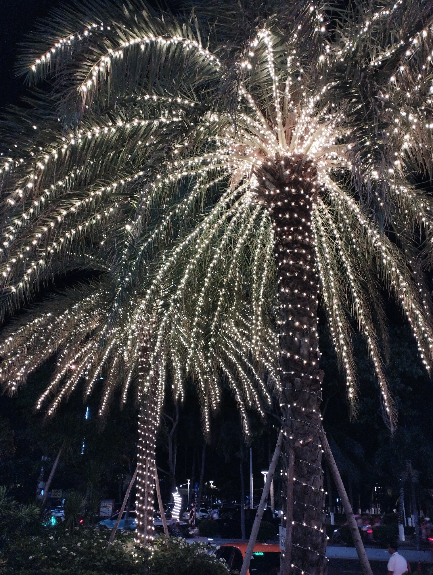 Nha Trang beachfront at night: lights, statues, and souvenir shops
