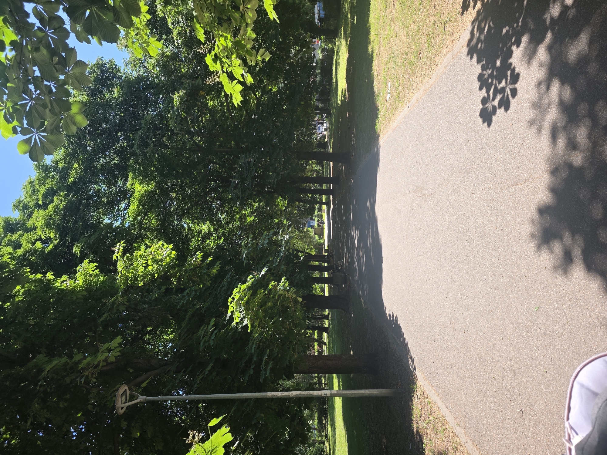Balloon archway installation spotted in Sofia park pathway