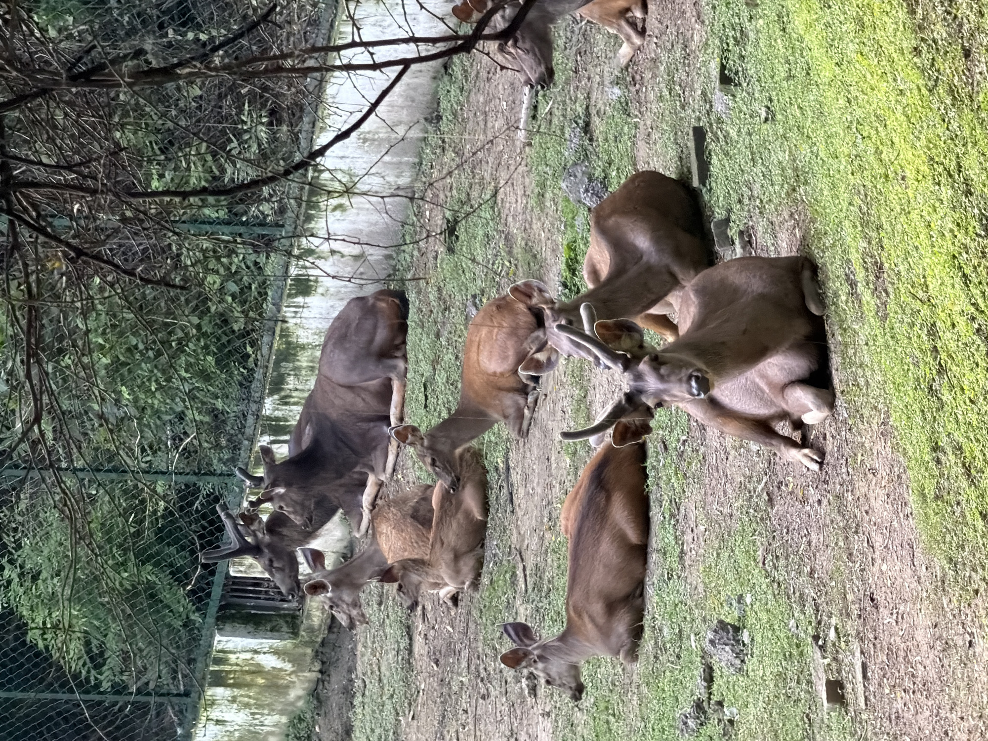 Kanpur, India