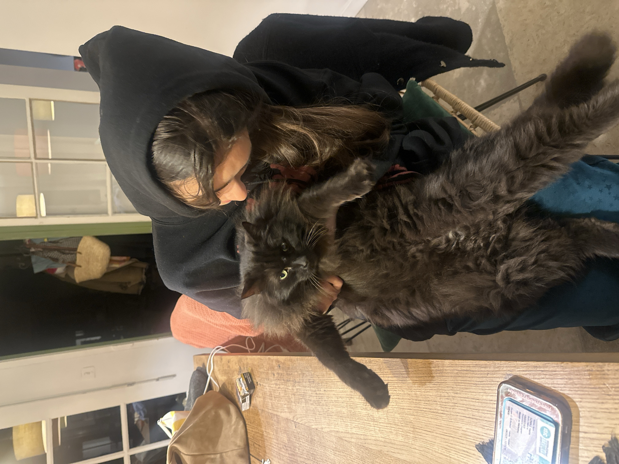 Woman holds large grey cat indoors in Lourmarin
