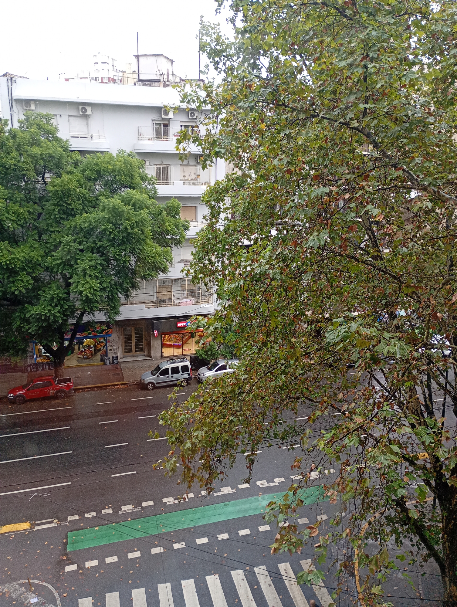 Rainy Buenos Aires street and balcony garden moments captured