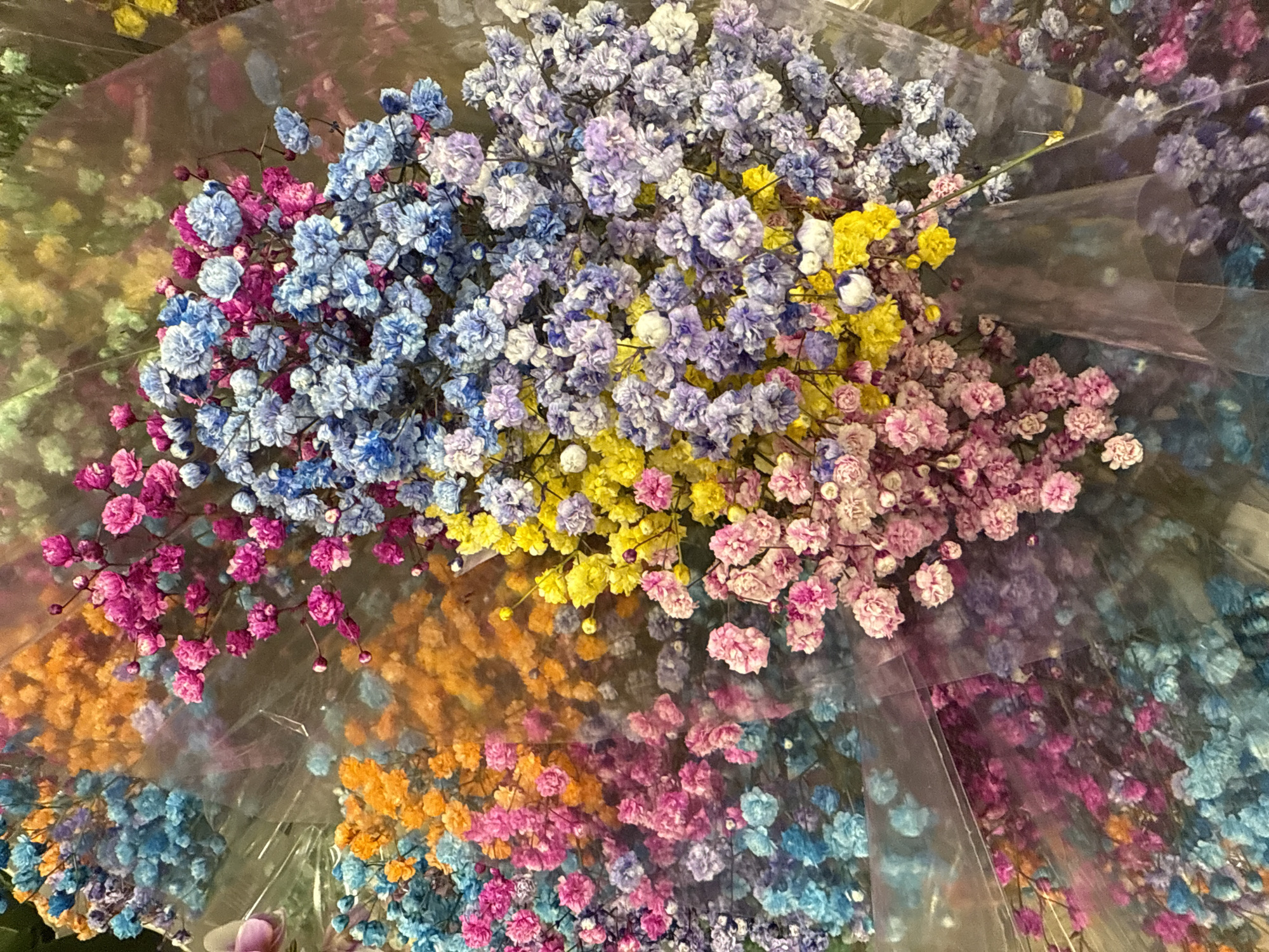 Colorful spring flower display captured at Hollywood retail store