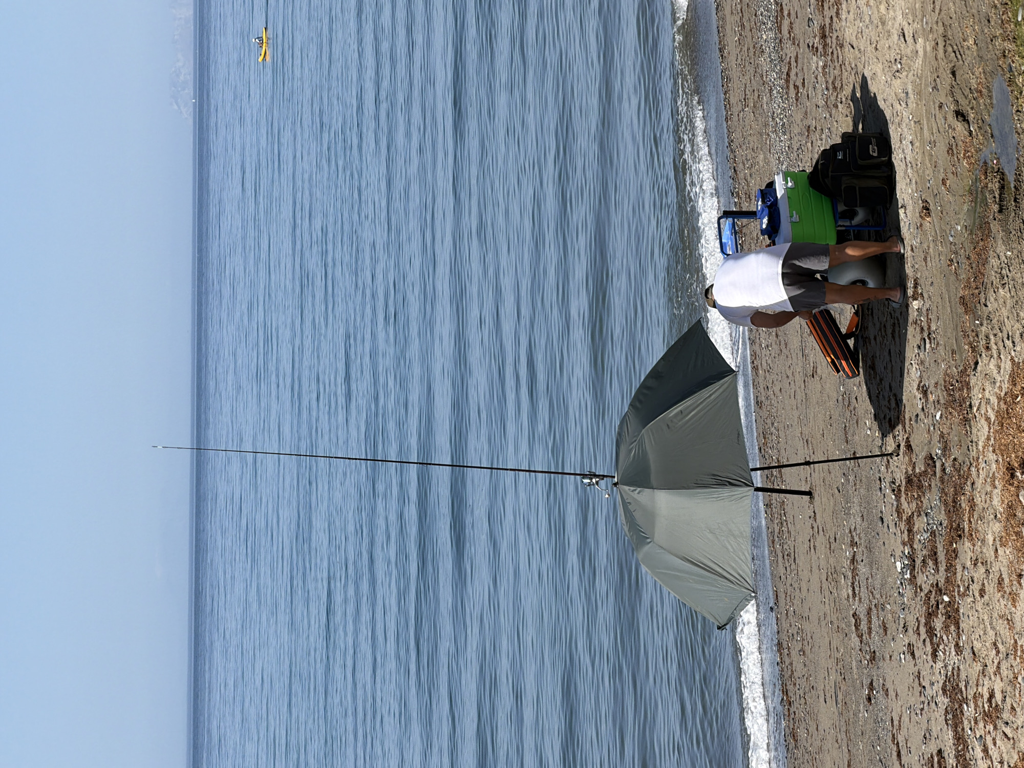 Quiet summer morning along Estepona's beachfront promenade