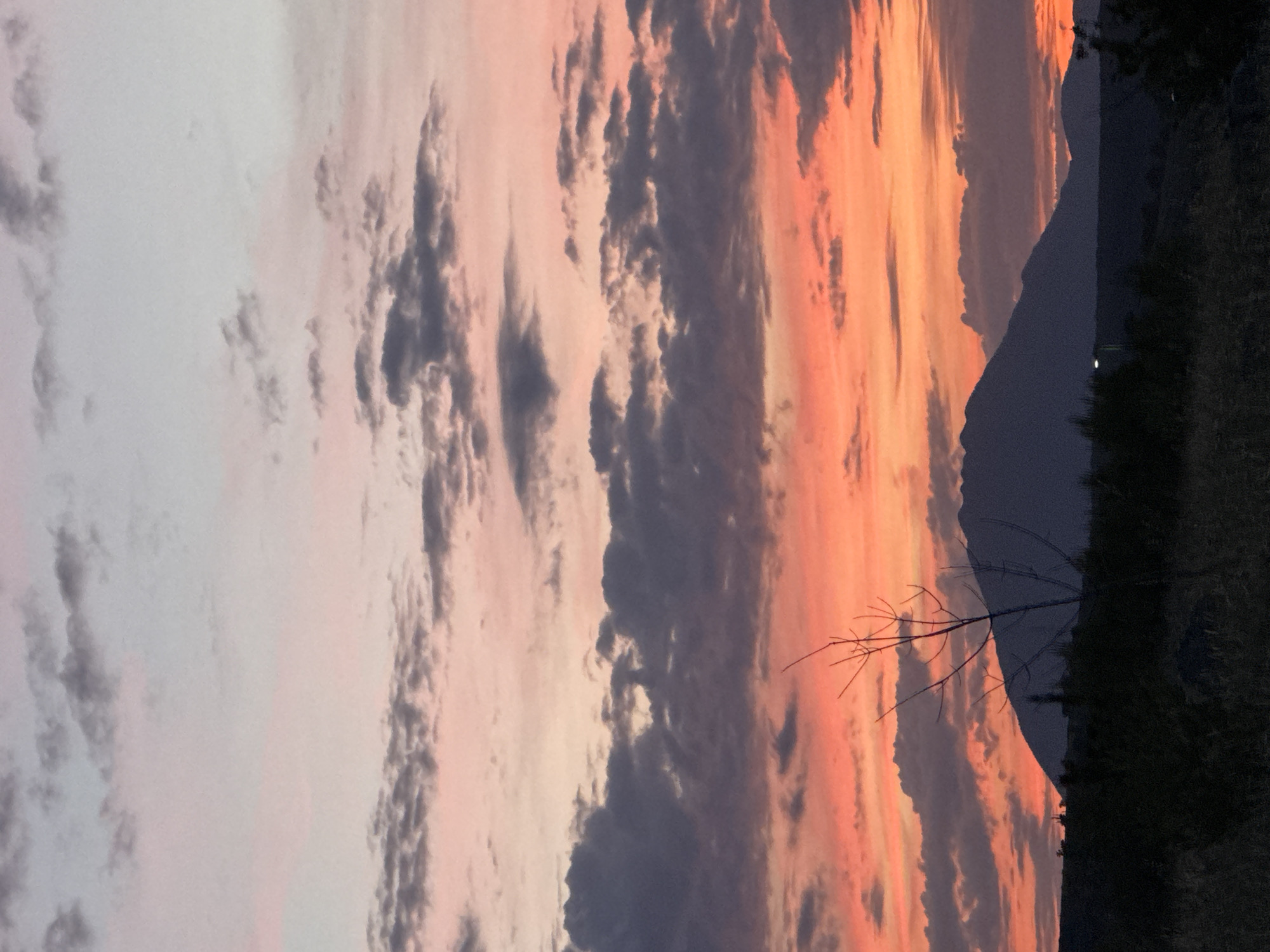 Evening cooking and dog encounters documented in Podgorica