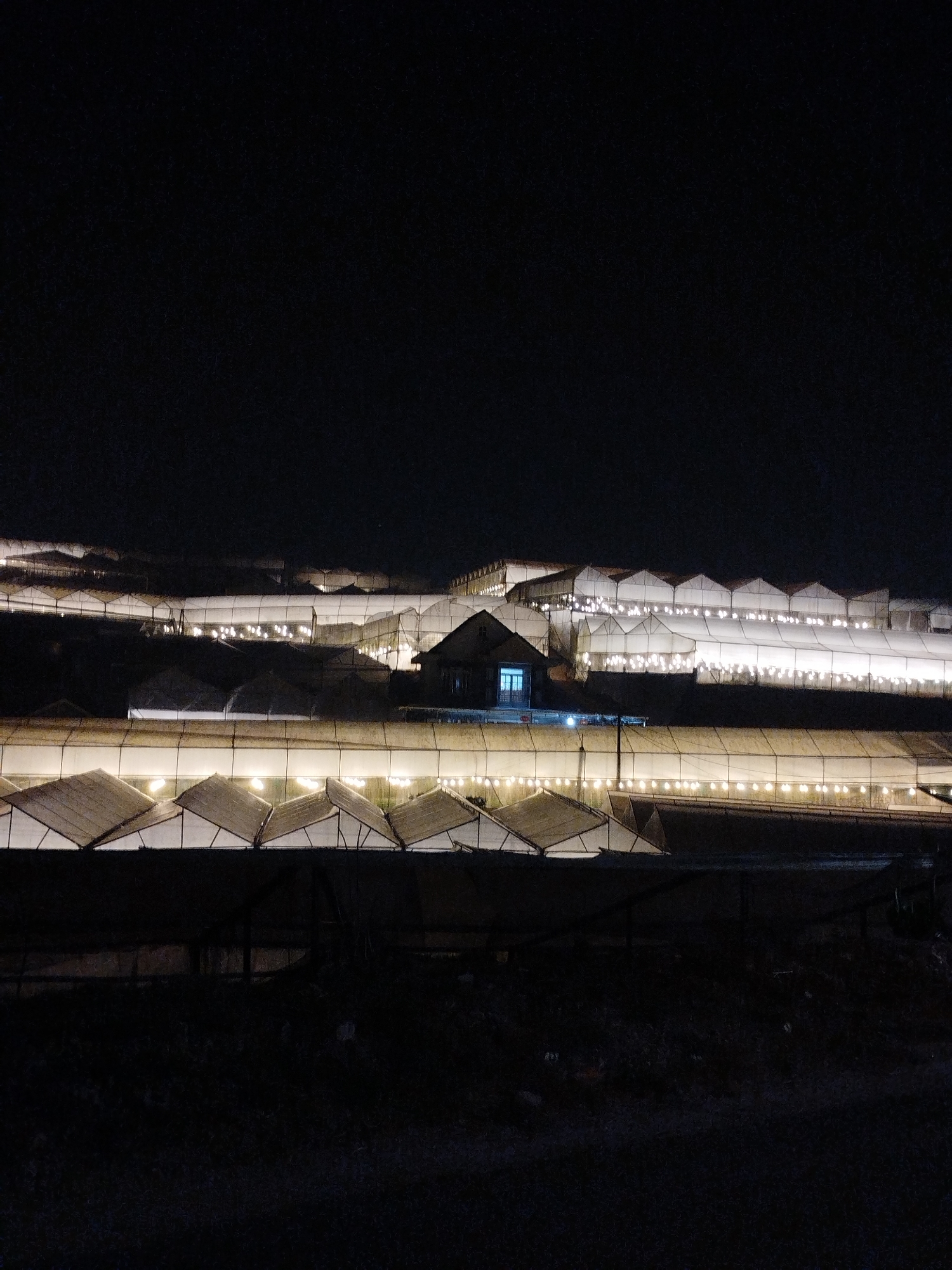 Illuminated greenhouses create nighttime spectacle in Lạc Dương Vietnam