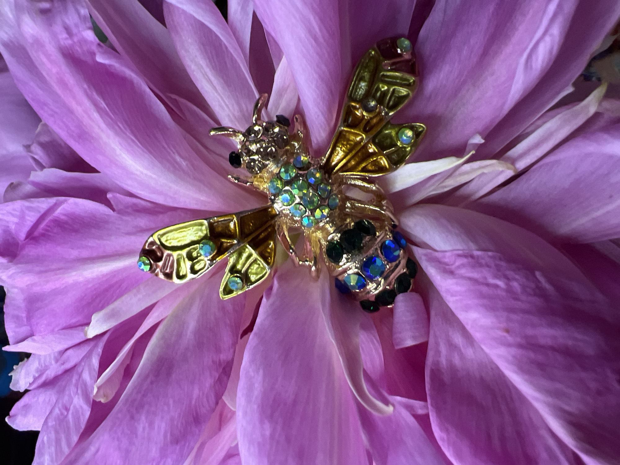 Bee brooch on flowers and Minsk at golden hour
