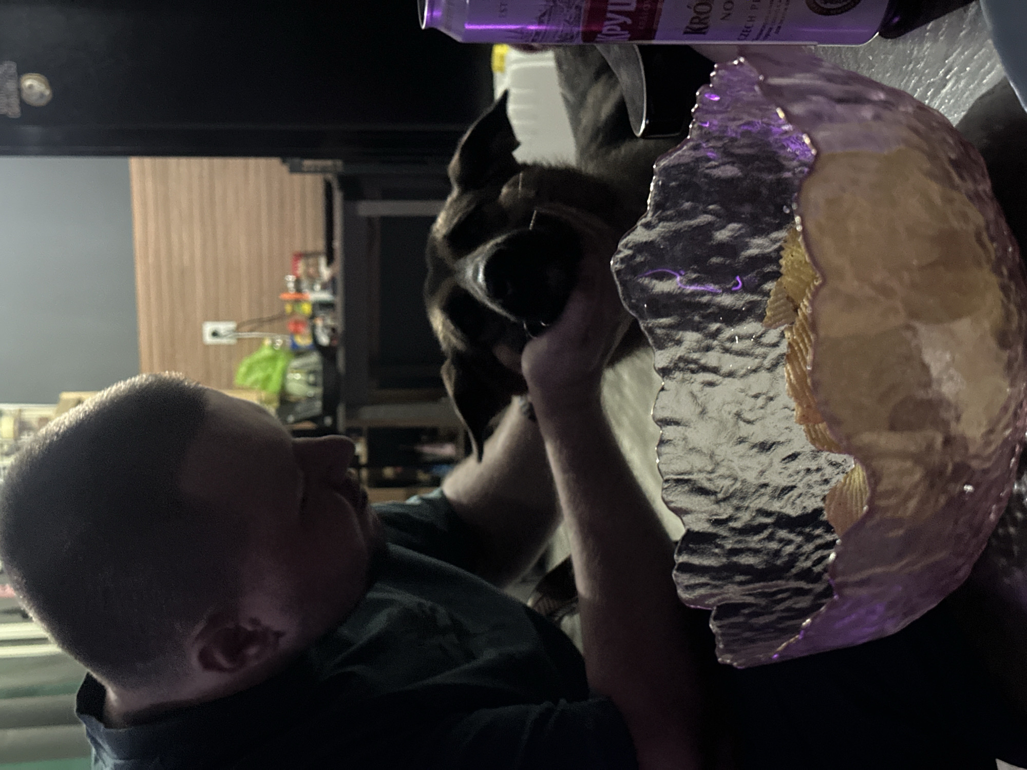 Man smokes hookah with dog in purple-lit Blagoveshchensk room