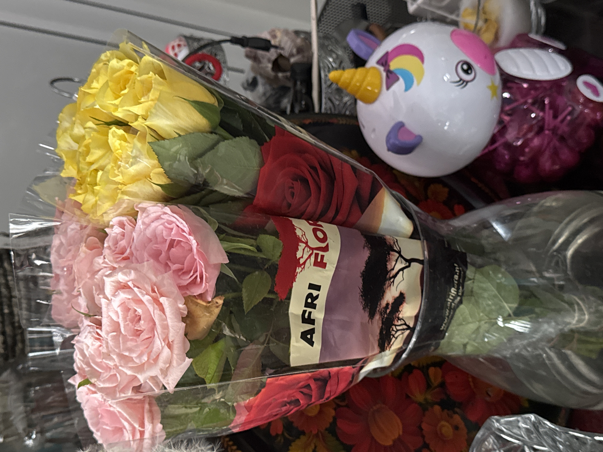 Pets, flowers, and home decor in a Hallum interior