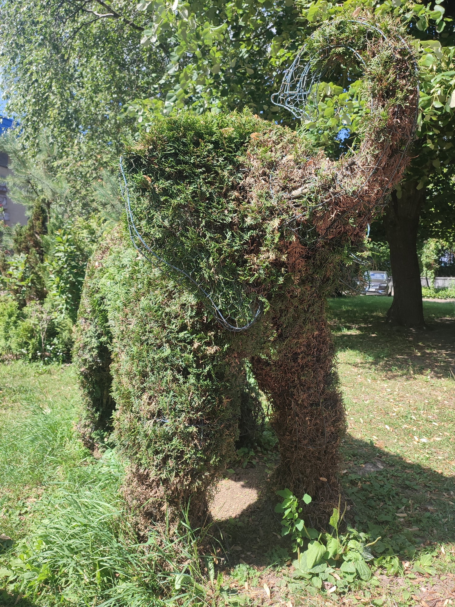 A full sweep of Rivne Zoo's animals and park sculptures