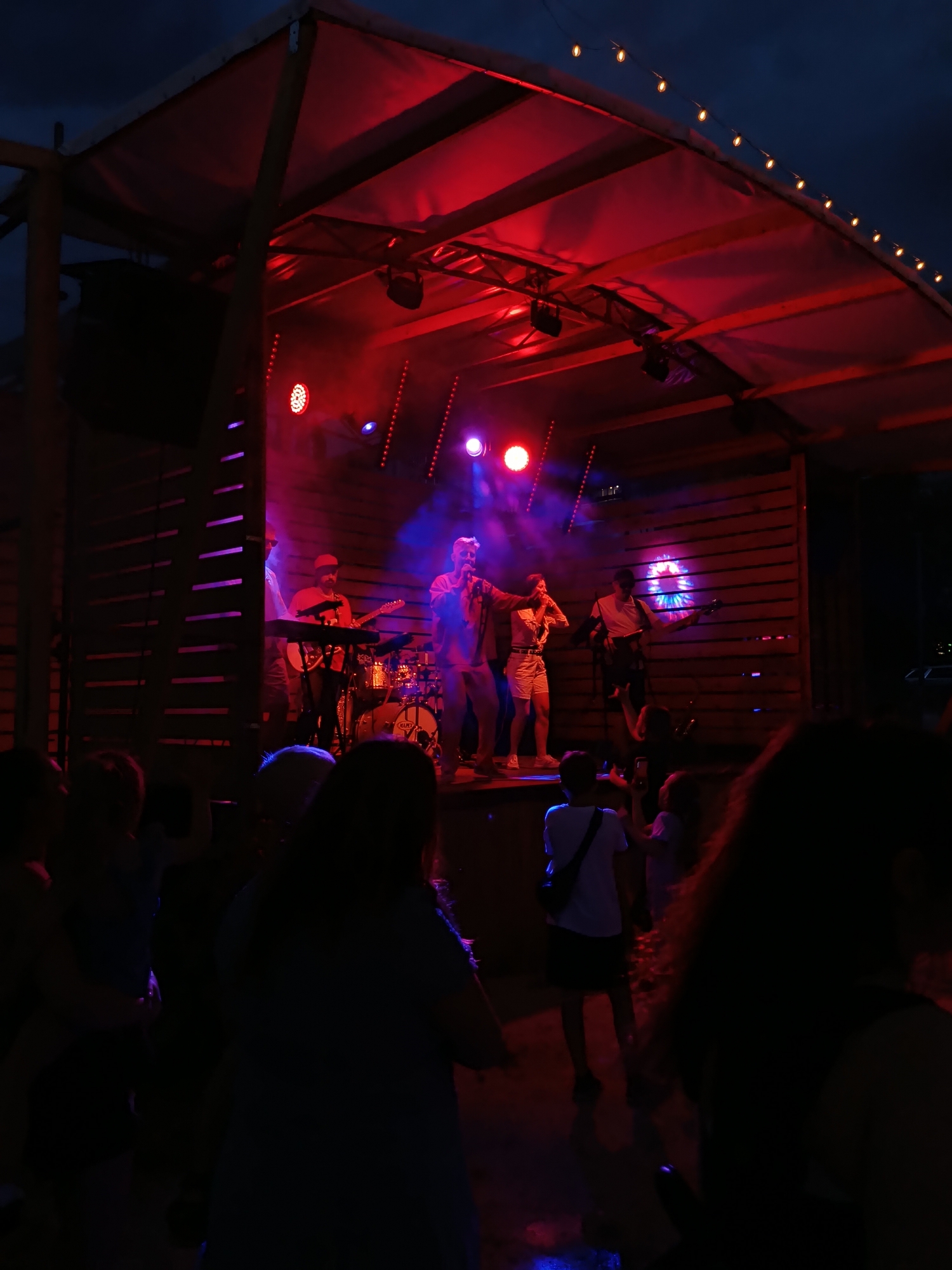 Outdoor band night, waterside wildlife, one evening in one place
