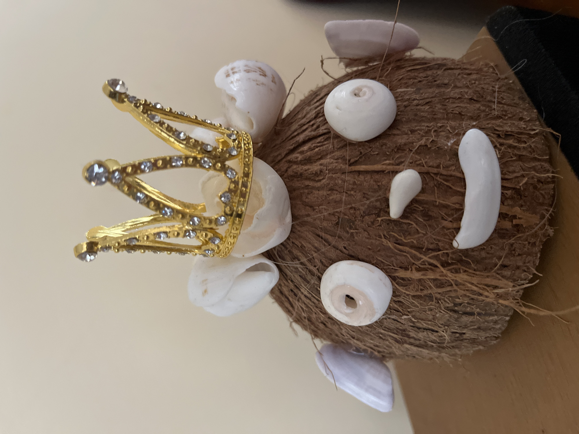 Crowned coconut decoration spotted at Turkish workspace scene