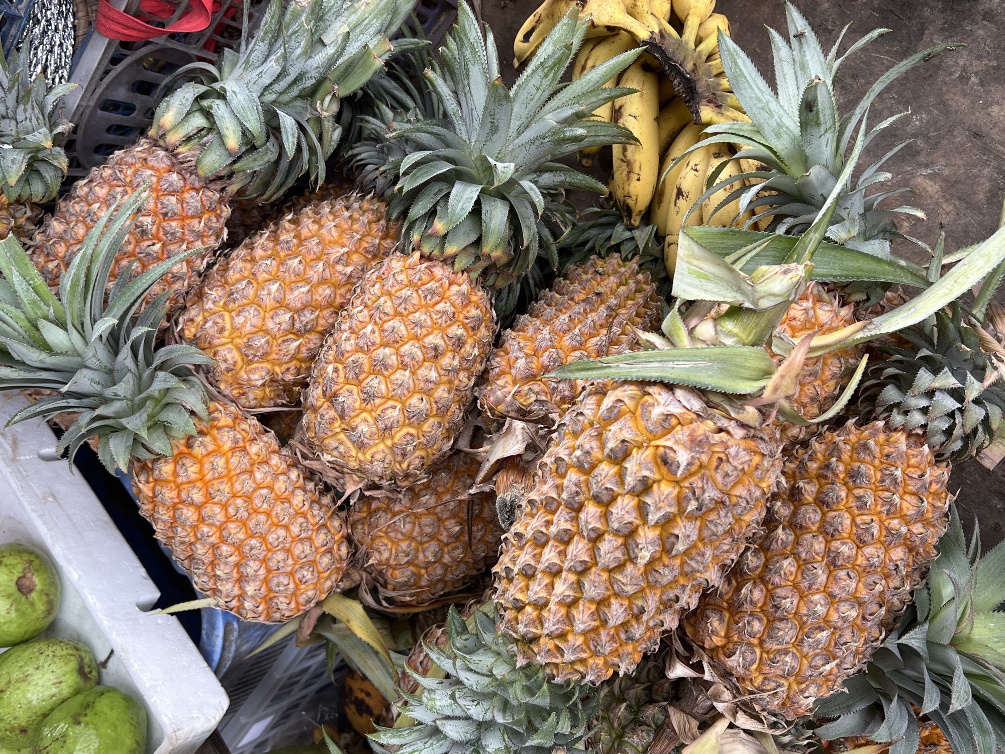 Fruit stall displays tropical produce in Ahangama