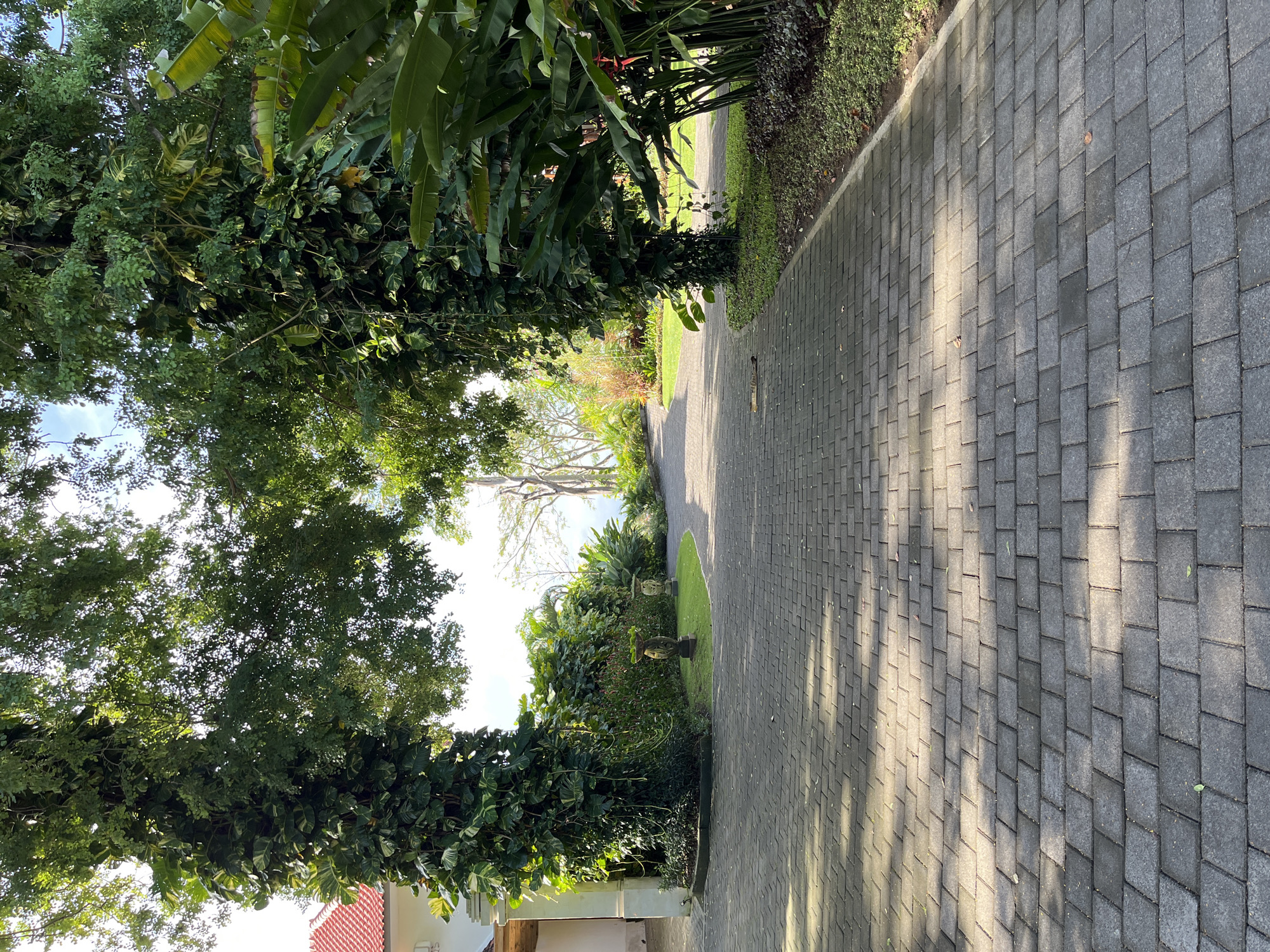 Tree-lined cobblestone path observed in Kuta Selatan, Indonesia