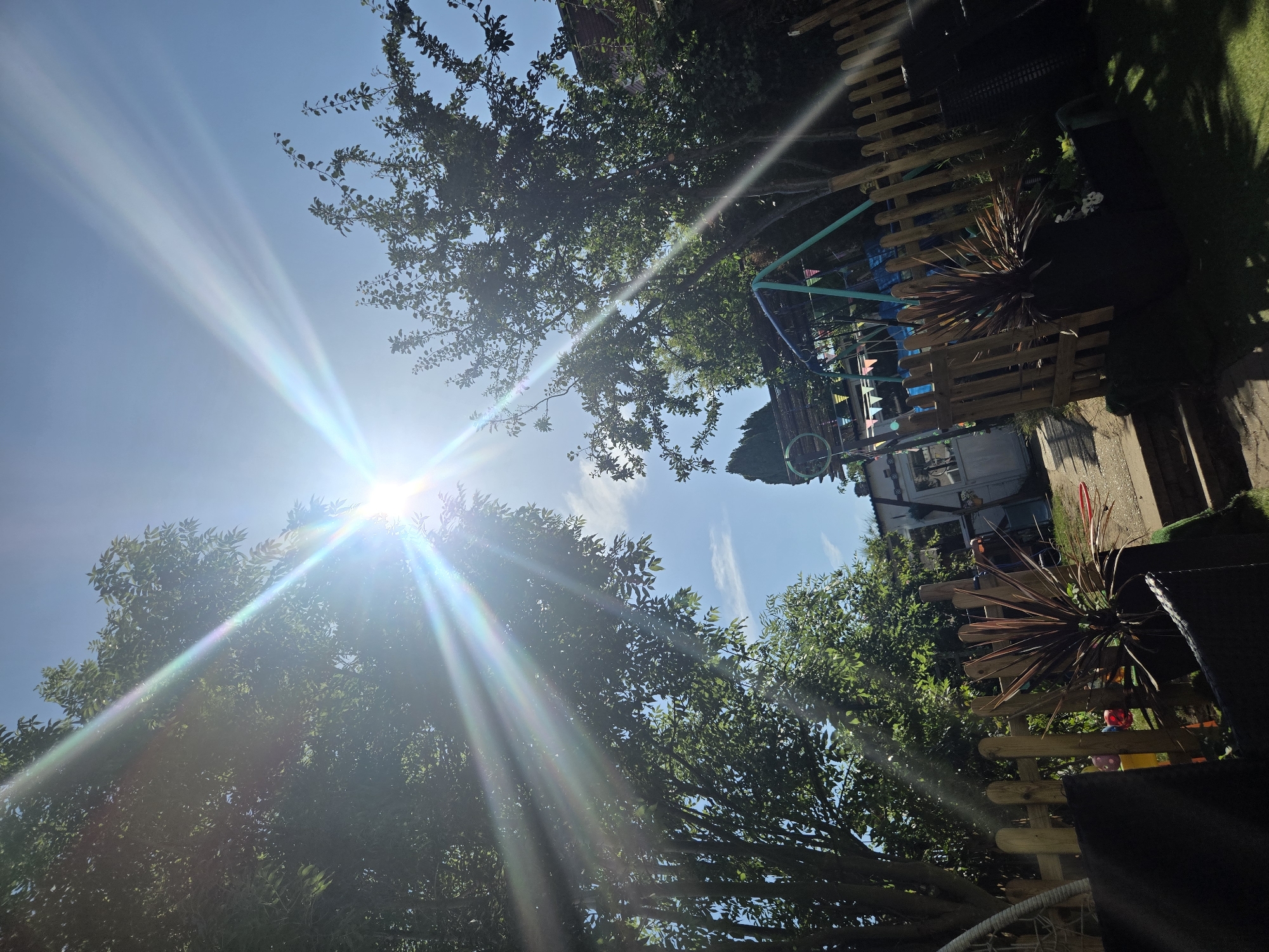 Sun-drenched London garden on a clear summer afternoon