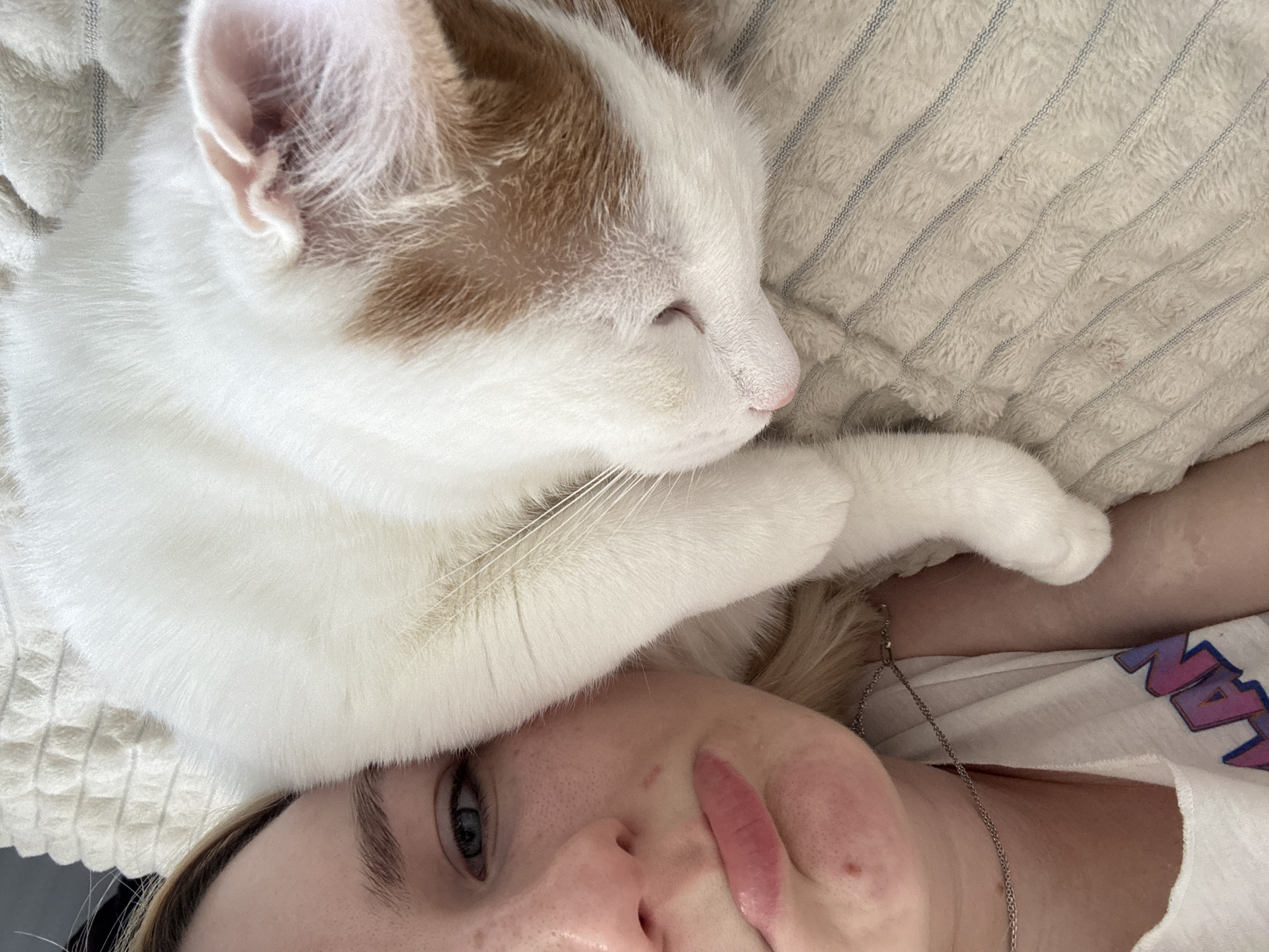 Person naps with cats in Vsevolozhsk bedroom scene