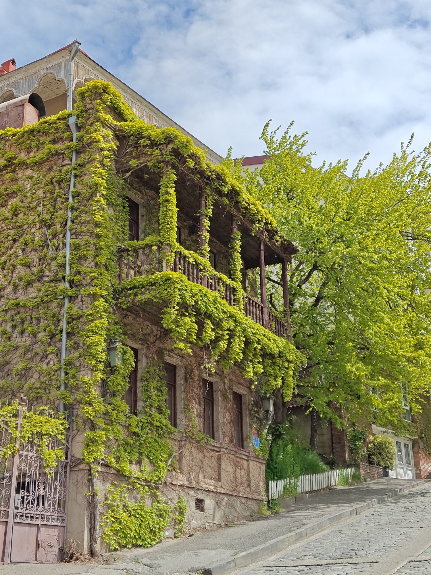 Spring morning street scenes documented across Tbilisi neighborhoods