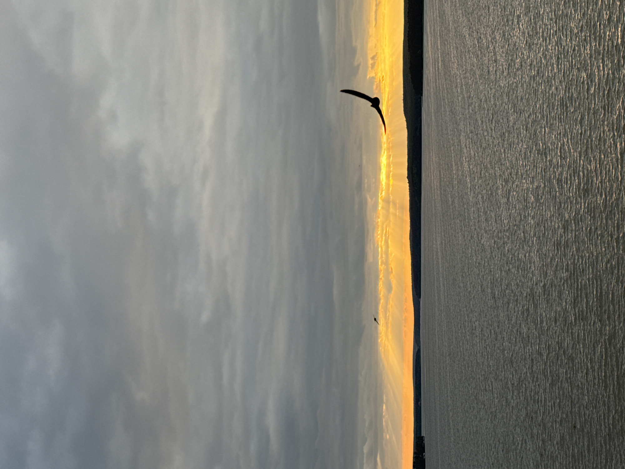 Dramatic sunset captured over Votkinsk Reservoir, Russia with birds