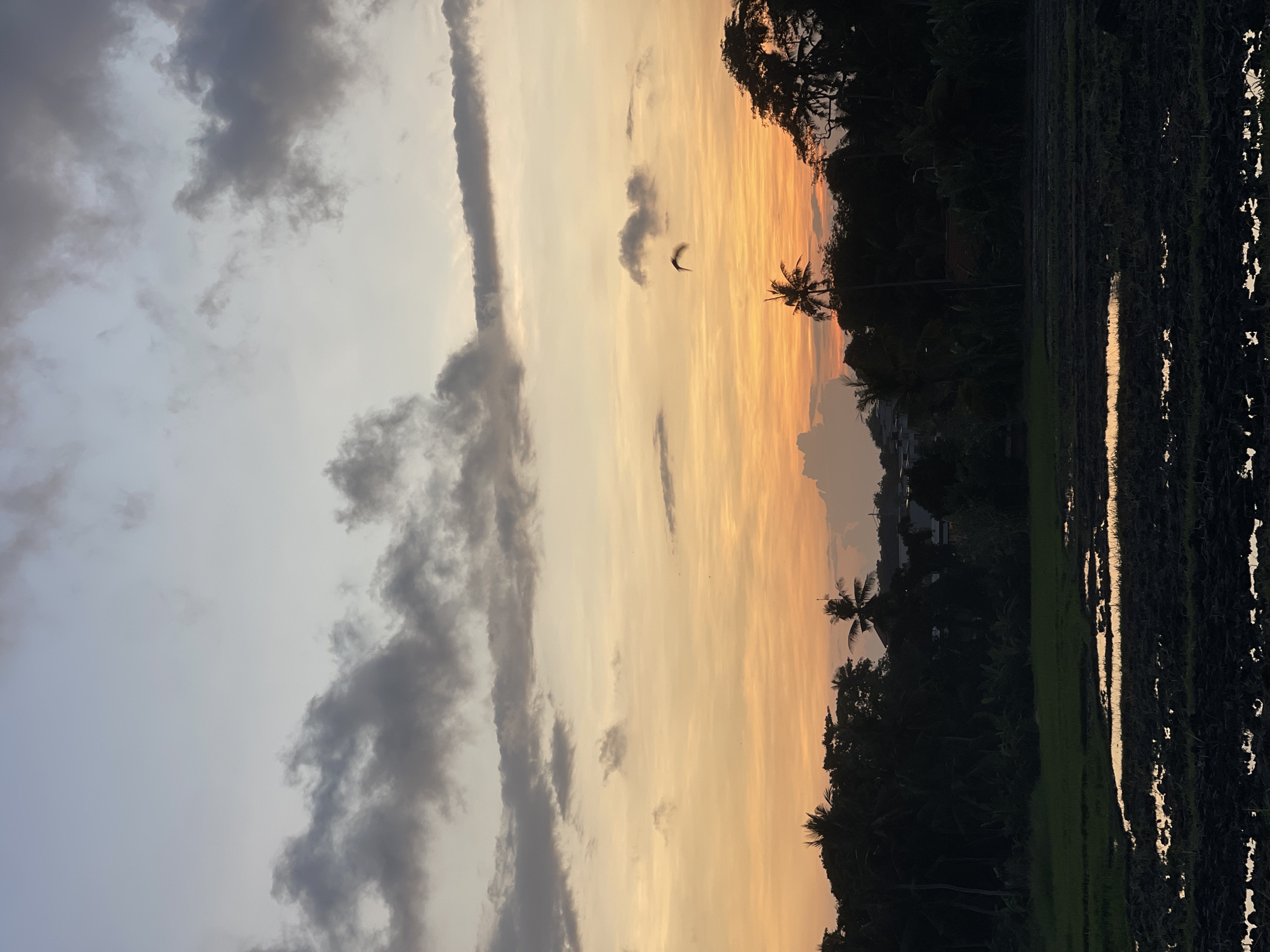 Motorcyclist documents sunset ride through Mengwi rice paddies